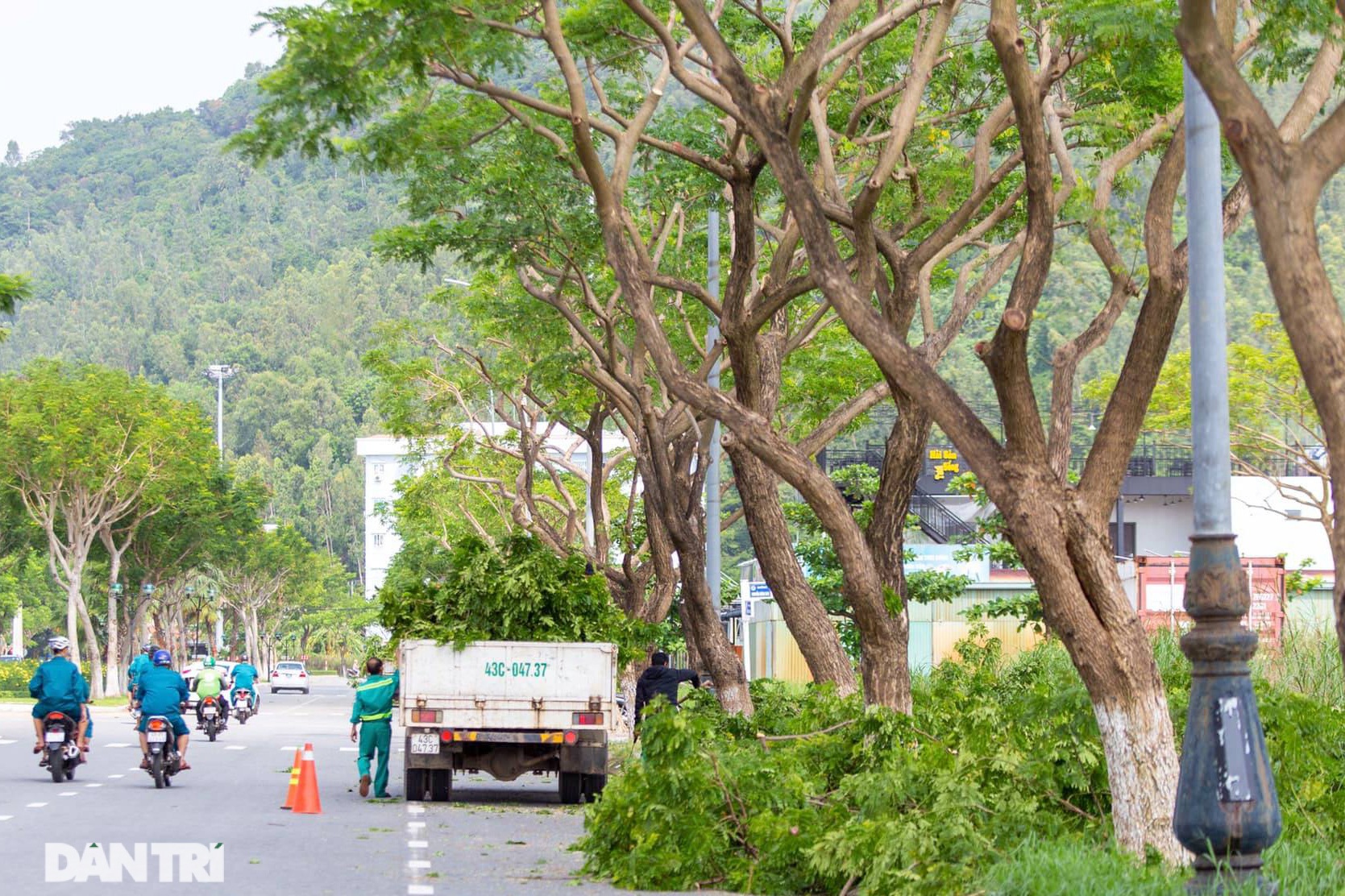 Hàng trăm tàu thuyền của ngư dân Đà Nẵng được đưa lên bờ tránh bão số 9 - 12 Hàng trăm tàu thuyền của ngư dân Đà Nẵng được đưa lên bờ tránh bão số 9 - 12