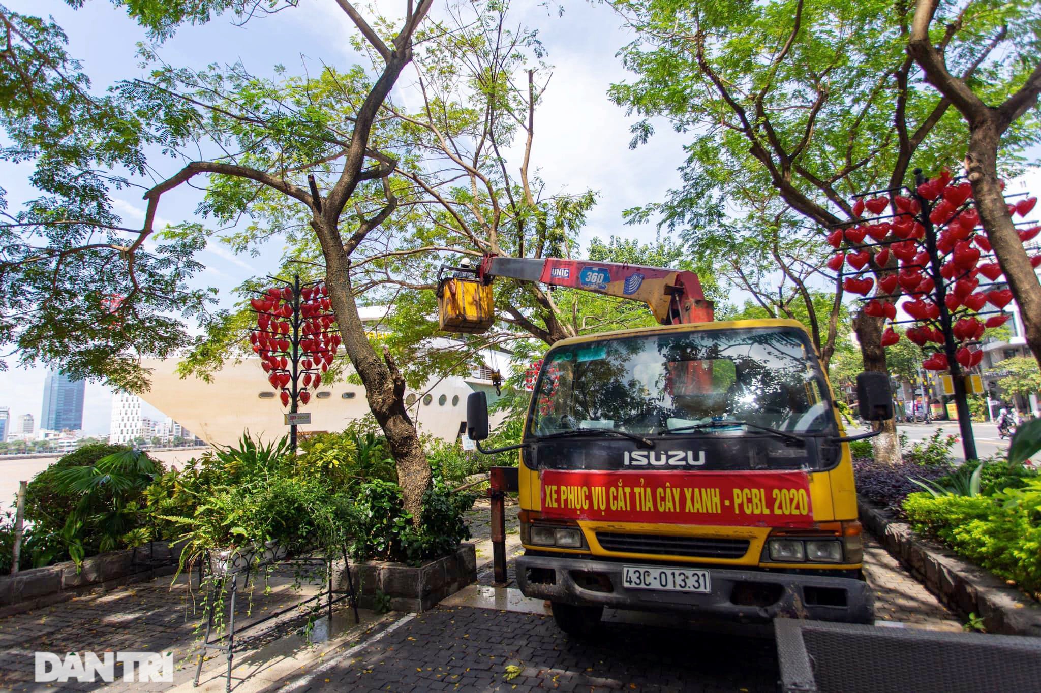 Hàng trăm tàu thuyền của ngư dân Đà Nẵng được đưa lên bờ tránh bão số 9 - 11 Hàng trăm tàu thuyền của ngư dân Đà Nẵng được đưa lên bờ tránh bão số 9 - 11