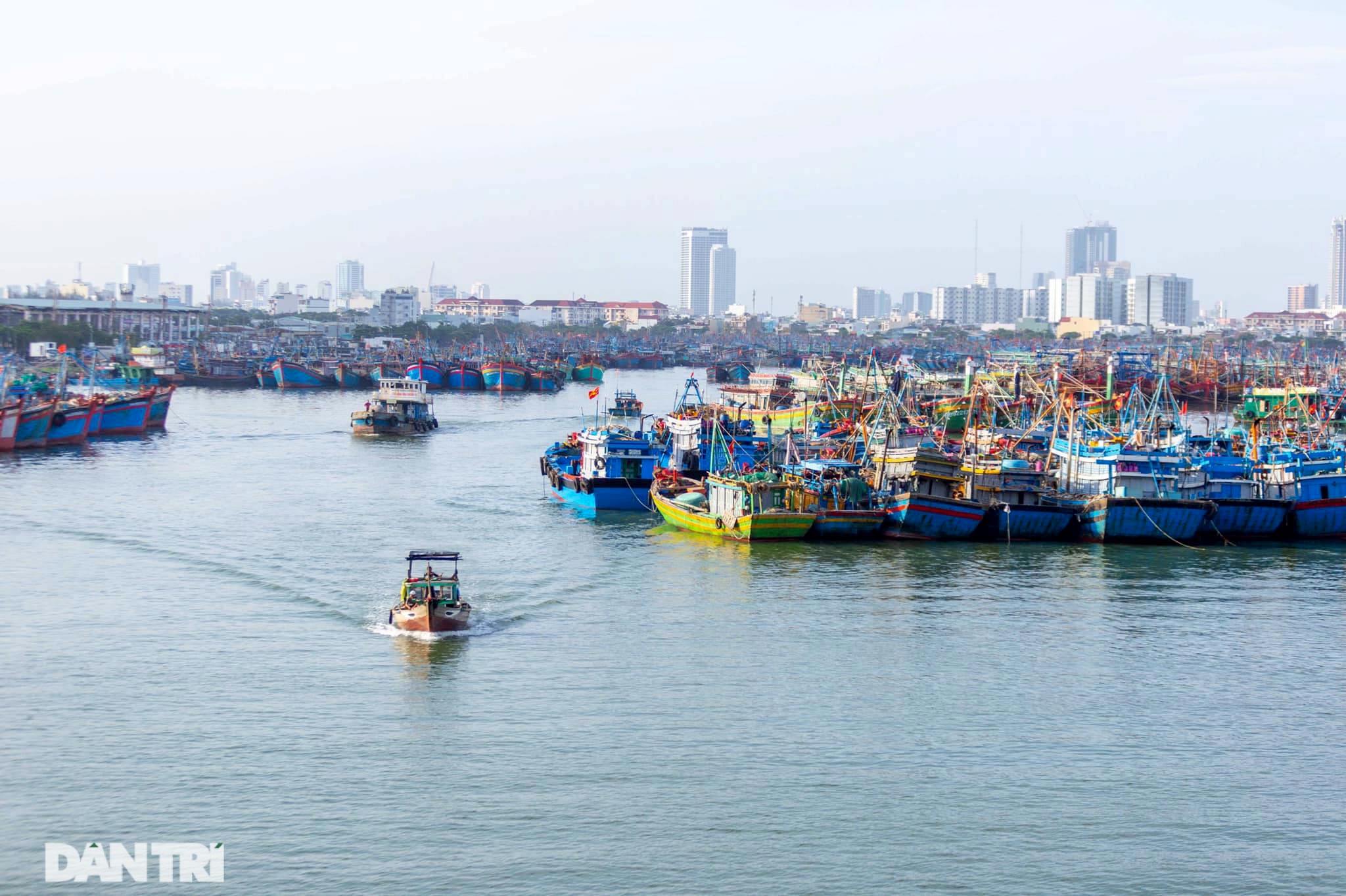 Hàng trăm tàu thuyền của ngư dân Đà Nẵng được đưa lên bờ tránh bão số 9 - 15