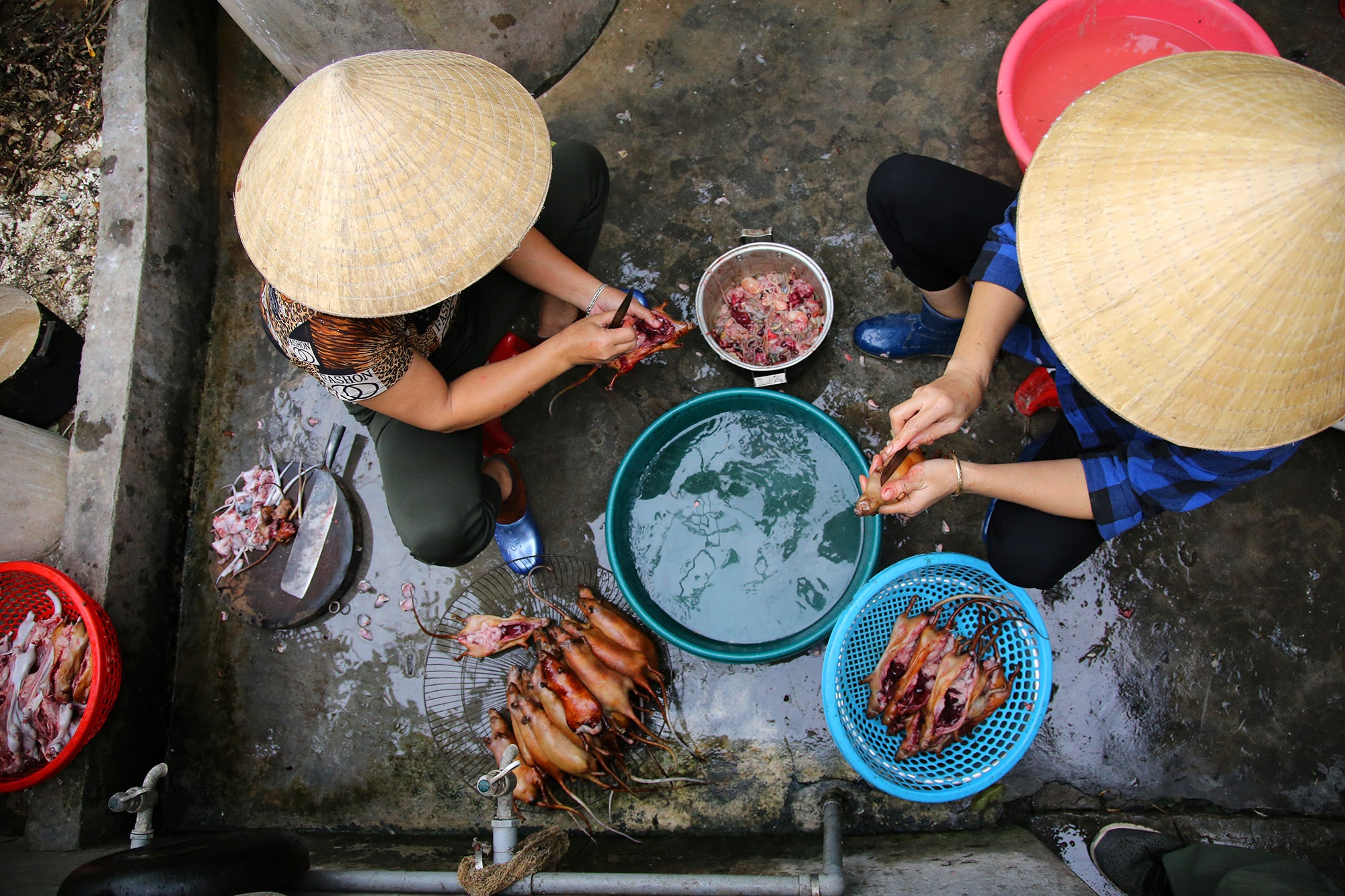 Món thịt chuột đặc sản của người làng Giống - 4