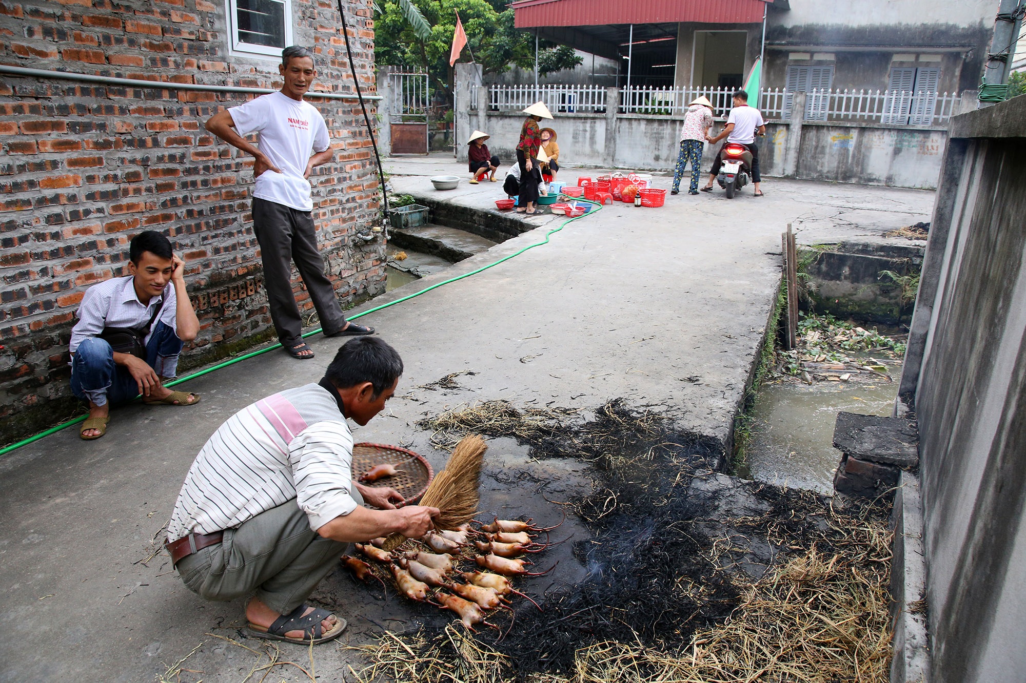 Món thịt chuột đặc sản của người làng Giống - 8