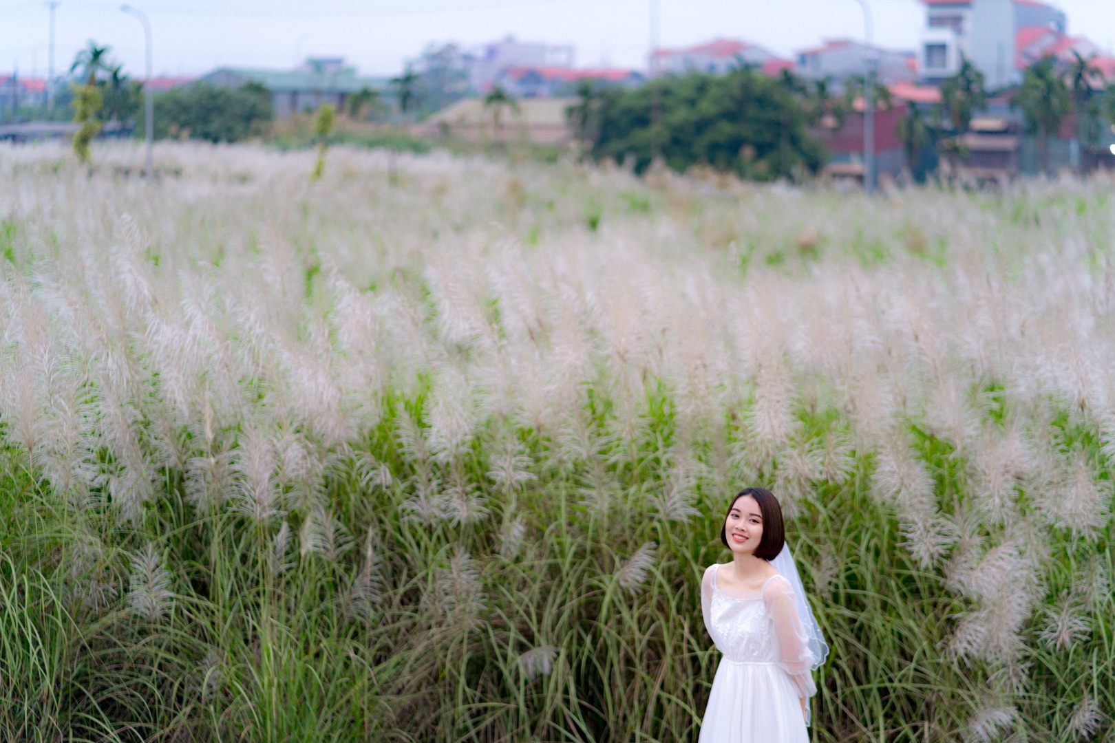 The beautiful white lawn attracts young people in Hanoi to live virtual - 5