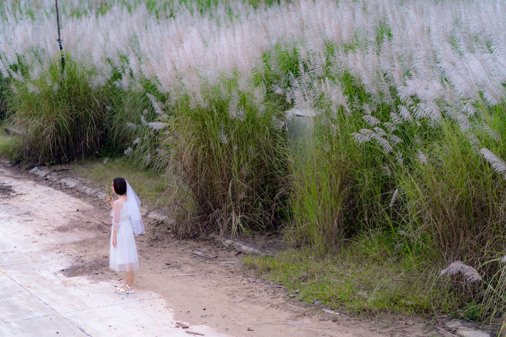 The beautiful white lawn attracts young people in Hanoi to live virtual - 10