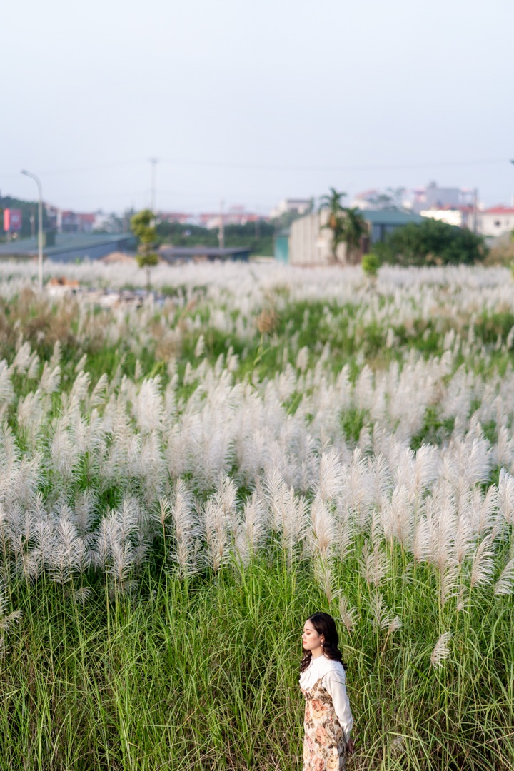 The beautiful white lawn attracts young people in Hanoi to live virtual - 6