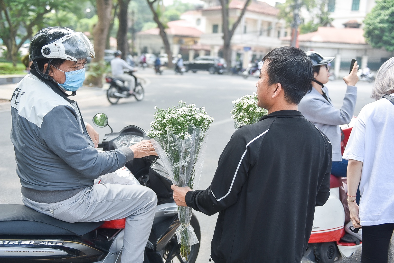 Cúc họa mi đầu mùa: Dân buôn hét giá cả trăm ngàn một bó vẫn cháy hàng - 11 Cúc họa mi đầu mùa: Dân buôn hét giá cả trăm ngàn một bó vẫn cháy hàng - 11