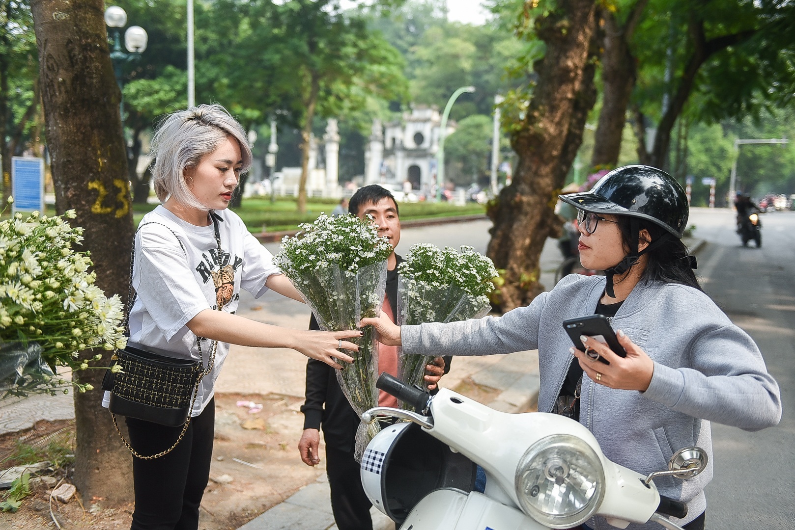 Cúc họa mi đầu mùa: Dân buôn hét giá cả trăm ngàn một bó vẫn cháy hàng - 10 Cúc họa mi đầu mùa: Dân buôn hét giá cả trăm ngàn một bó vẫn cháy hàng - 10