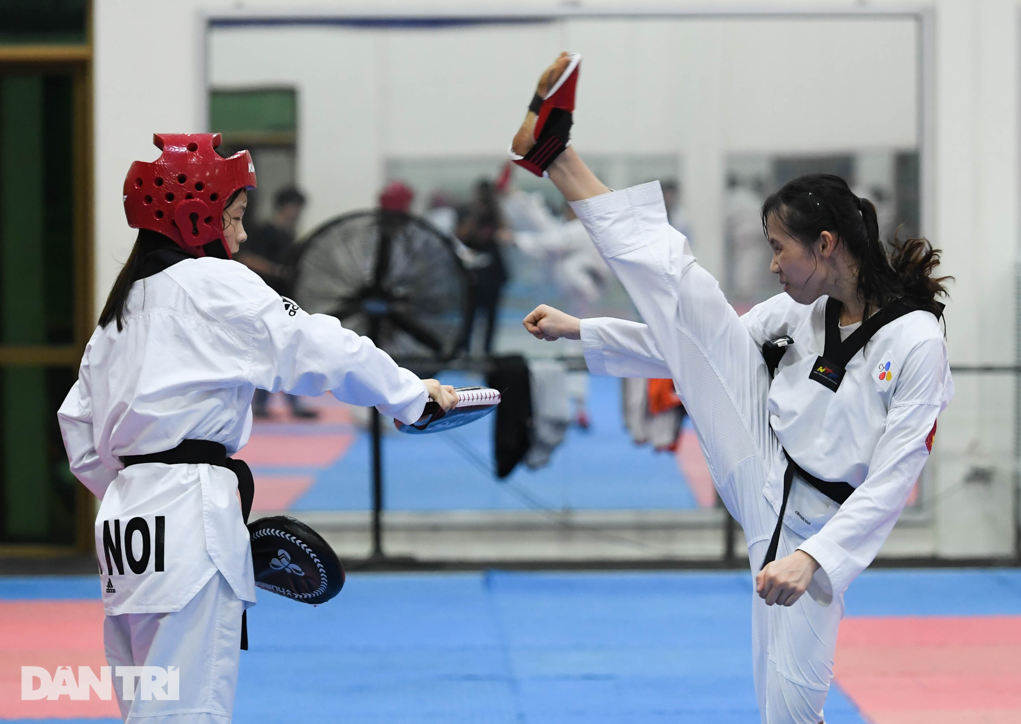 Taekwondo Việt Nam: Tấm gương thầy Park và mục tiêu tại Olympic - 17 Taekwondo Việt Nam: Tấm gương thầy Park và mục tiêu tại Olympic - 17