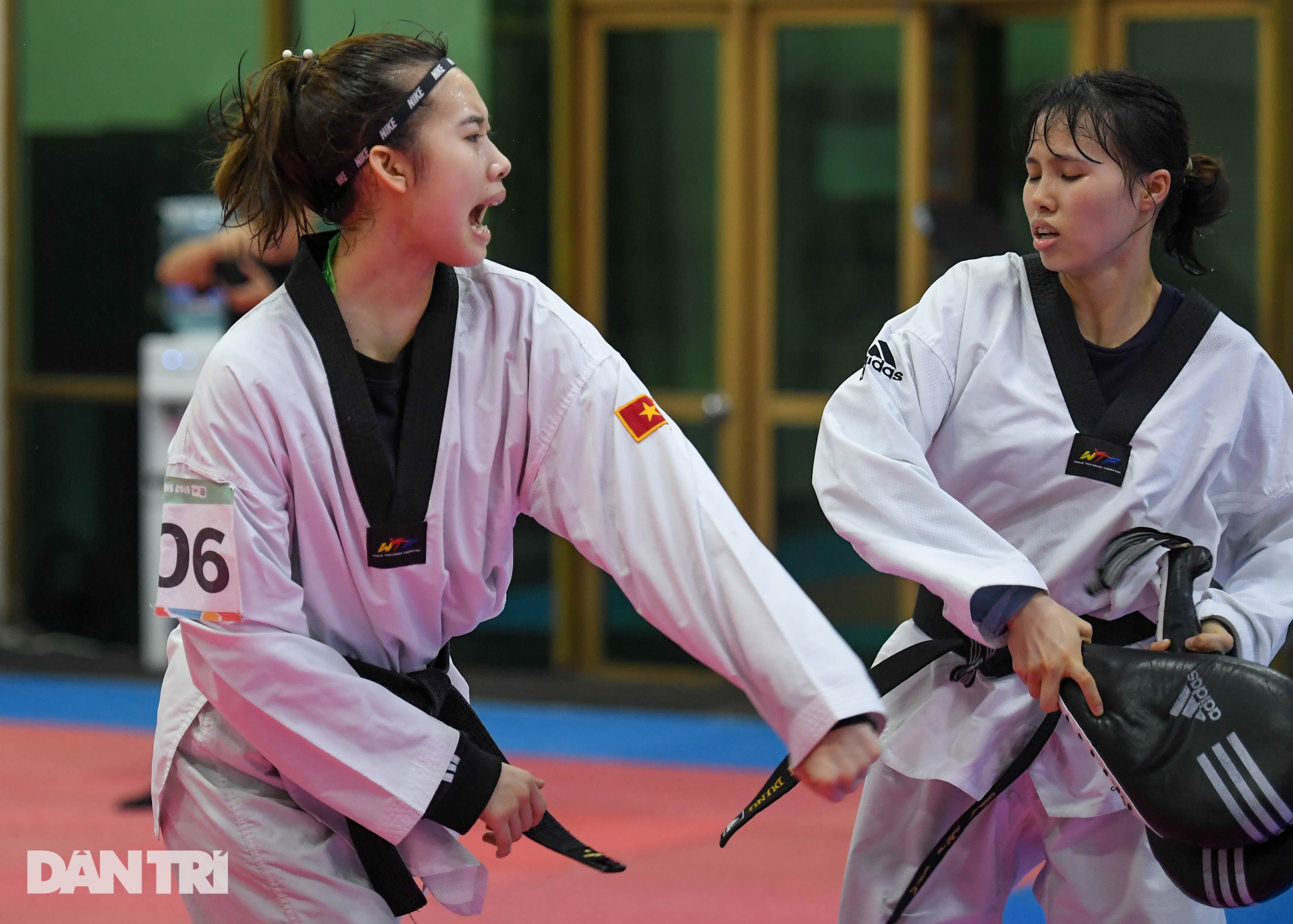 Taekwondo Việt Nam: Tấm gương thầy Park và mục tiêu tại Olympic - 15 Taekwondo Việt Nam: Tấm gương thầy Park và mục tiêu tại Olympic - 15