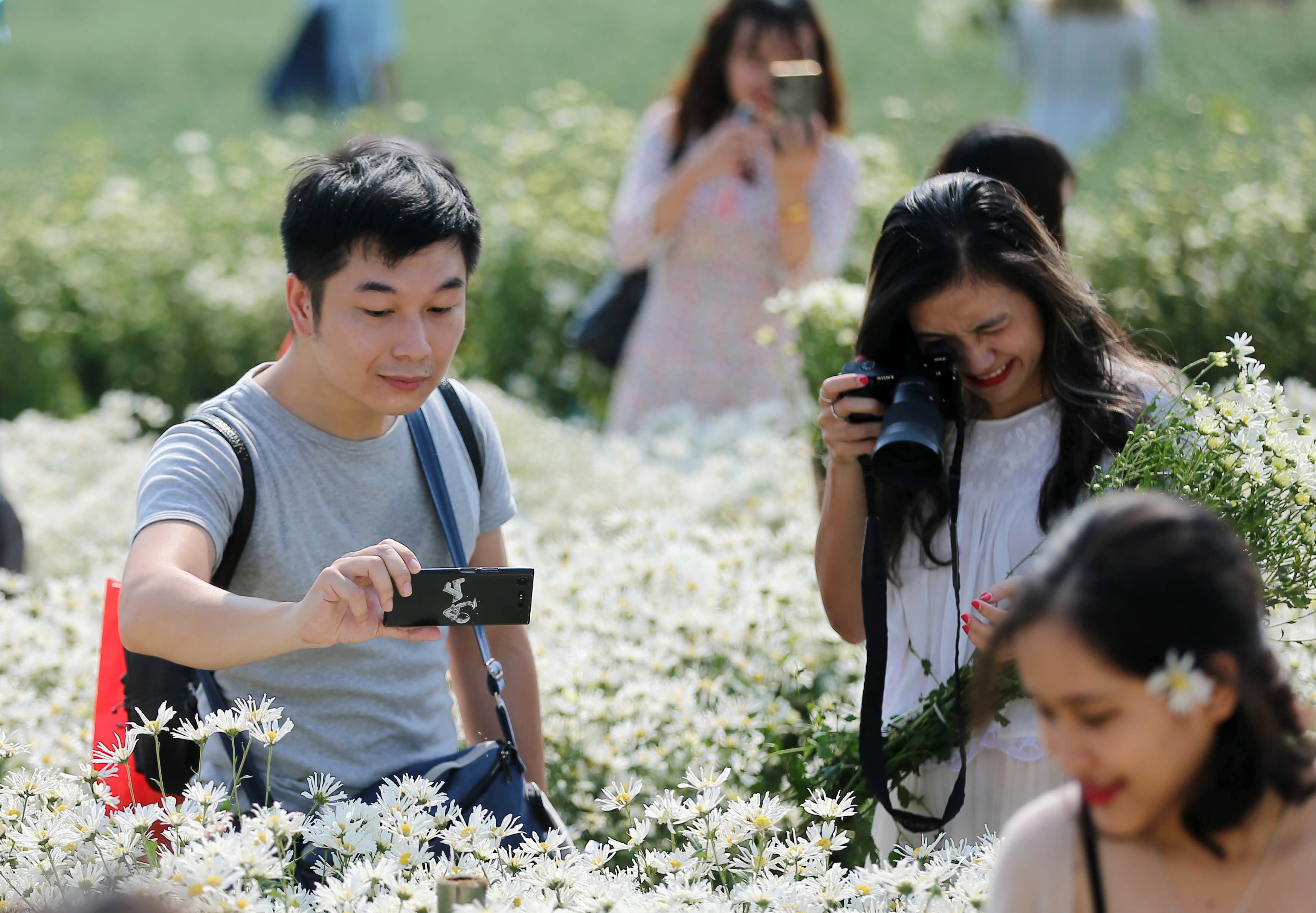Nhiếp ảnh gia bó tay trước cảnh chen chân trong vườn cúc hoạ mi ở Hà Nội - 2