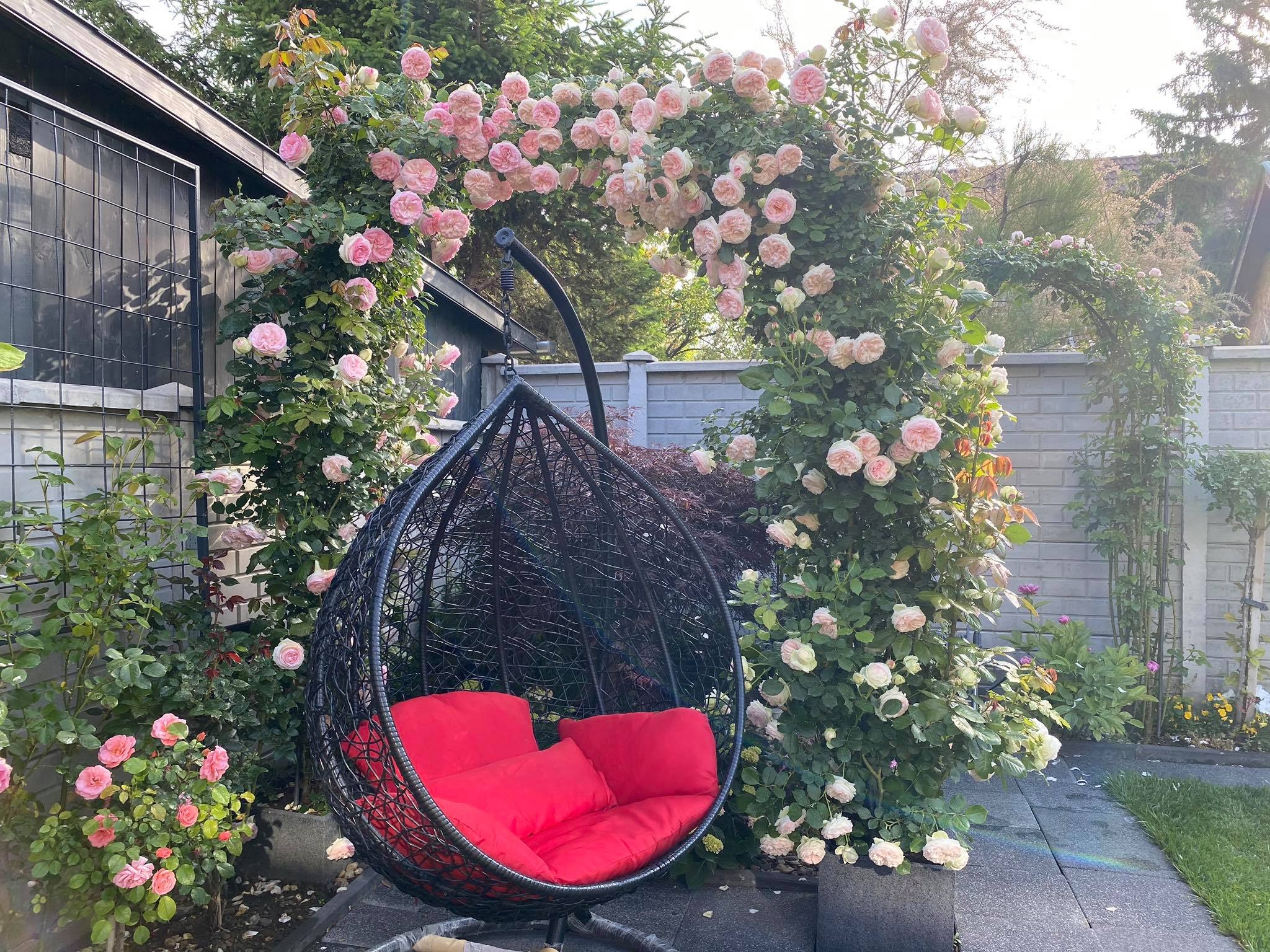 View - Choáng ngợp vườn hồng ngoại đẹp như cổ tích của vợ chồng Việt ở trời Tây | Báo Dân trí