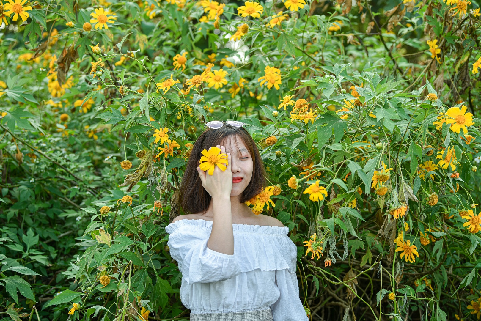 View - Thích thú check-in với hoa dã quỳ đẹp ngất ngây ngay giữa lòng Hà Nội | Báo Dân trí