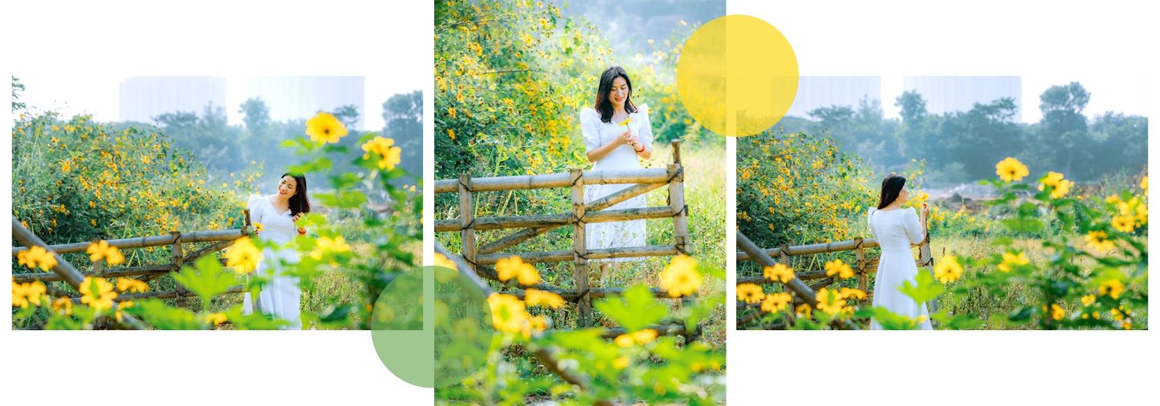 Về Ecopark ngắm cánh đồng hoa dã quỳ ngập tràn sắc vàng giữa trời đông - 5 Về Ecopark ngắm cánh đồng hoa dã quỳ ngập tràn sắc vàng giữa trời đông - 5