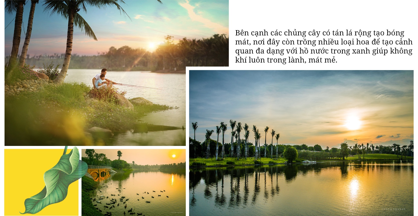 Về Ecopark ngắm cánh đồng hoa dã quỳ ngập tràn sắc vàng giữa trời đông - 8 Về Ecopark ngắm cánh đồng hoa dã quỳ ngập tràn sắc vàng giữa trời đông - 8