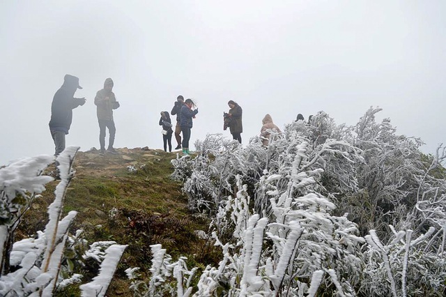 Vùng núi cao Bắc Bộ có khả năng xảy ra băng giá, sương muối - 1