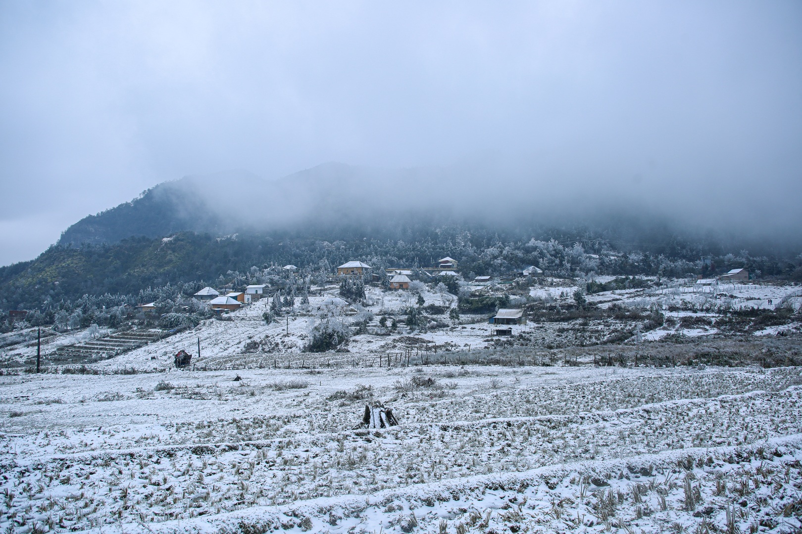 Tourists enjoy pouring out on the street, taking pictures with white snow in Y Ty - 14