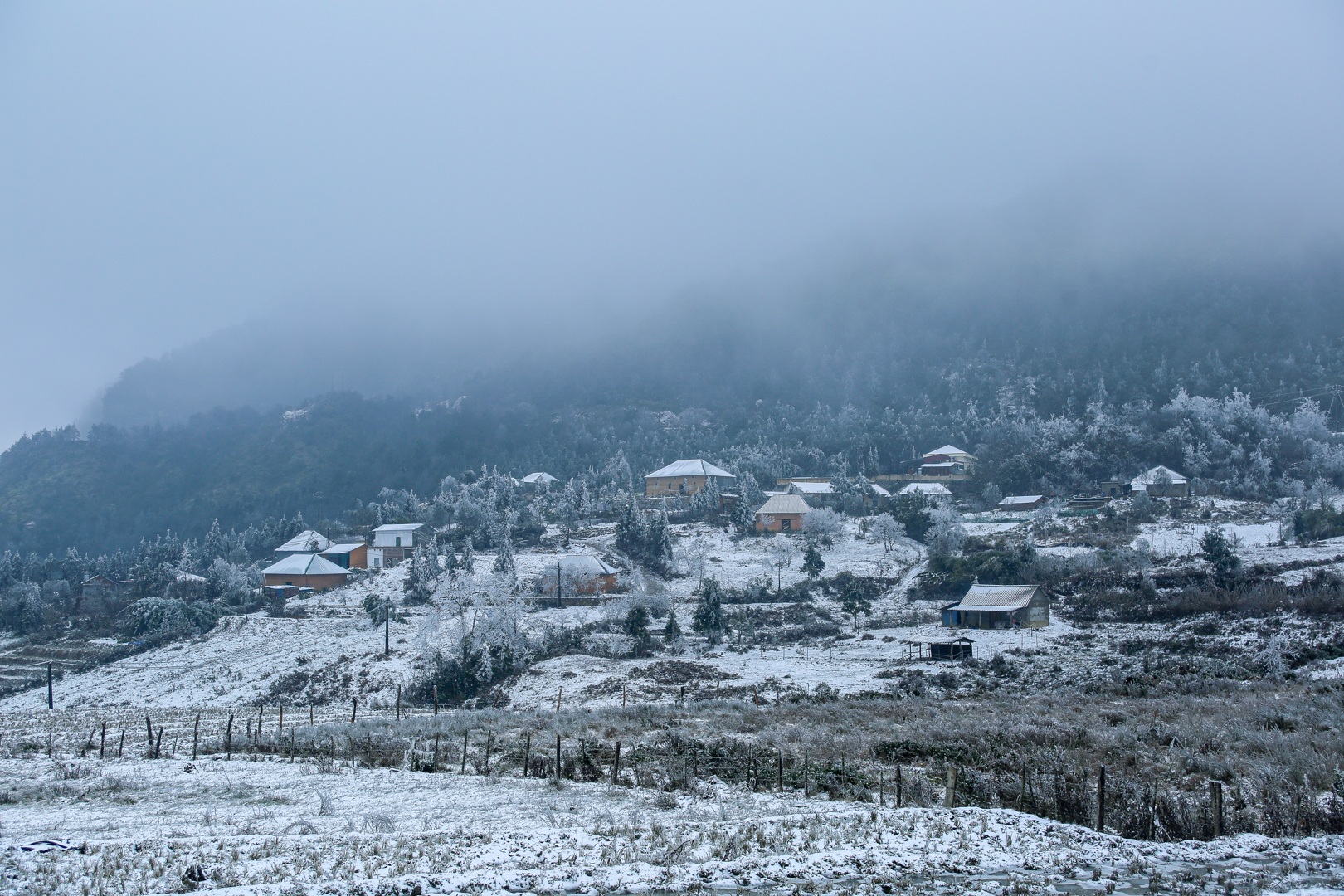 Tourists enjoy pouring out on the street, taking pictures with white snow in Y Ty - 6