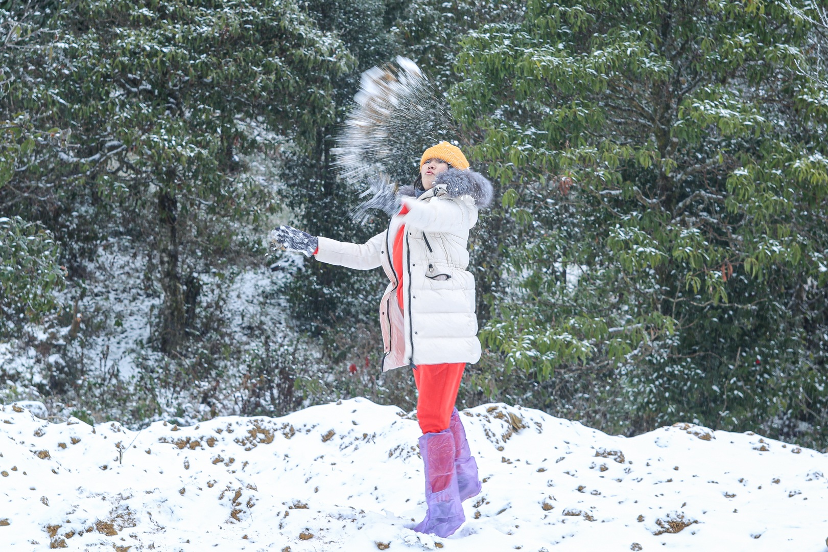 Tourists enjoy pouring into the street, taking pictures with white snow in Y Ty - 1