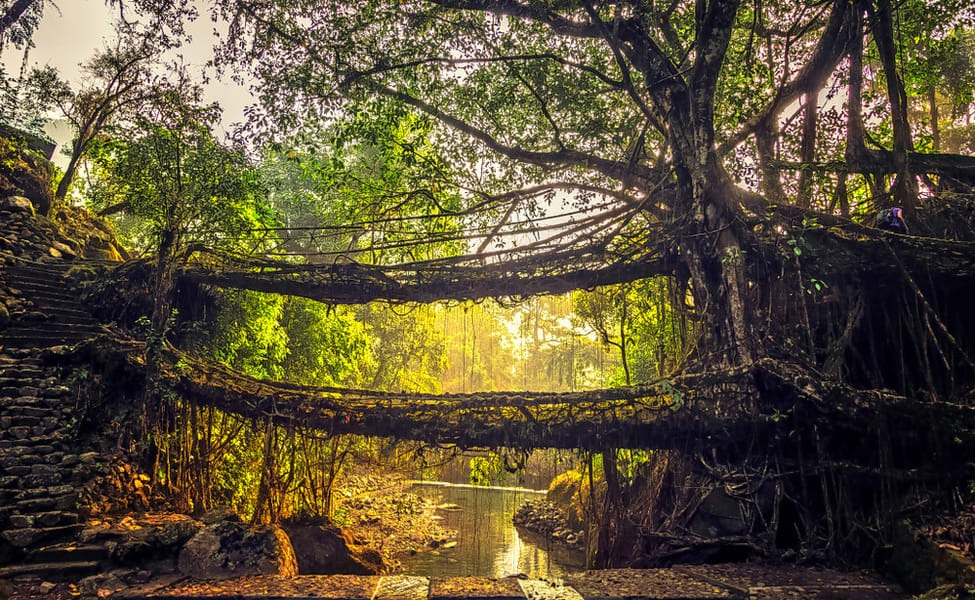 Cuộc sống ở nơi ẩm ướt nhất thế giới gần như ngày nào cũng có mưa - 7
