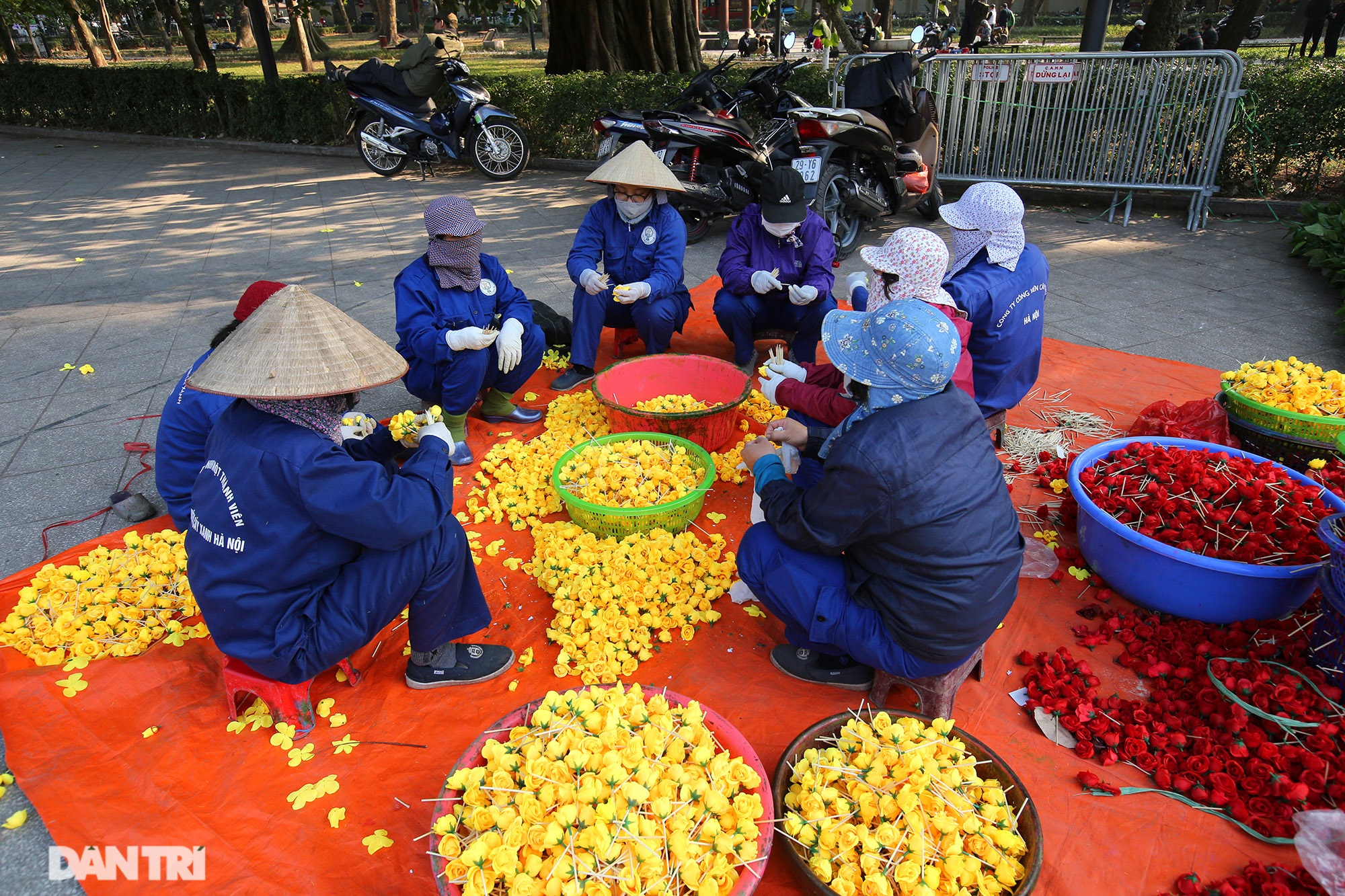 Hồ Gươm thảm hoa rực rỡ sắc màu chào mừng Đại hội XIII của Đảng - 13