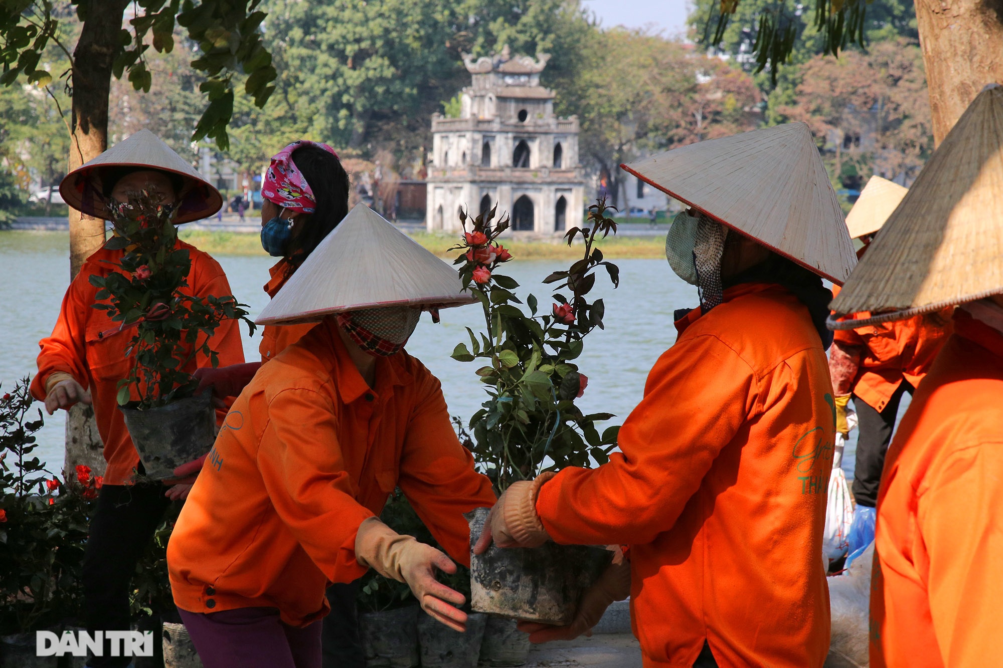 Hồ Gươm thảm hoa rực rỡ sắc màu chào mừng Đại hội XIII của Đảng - 2