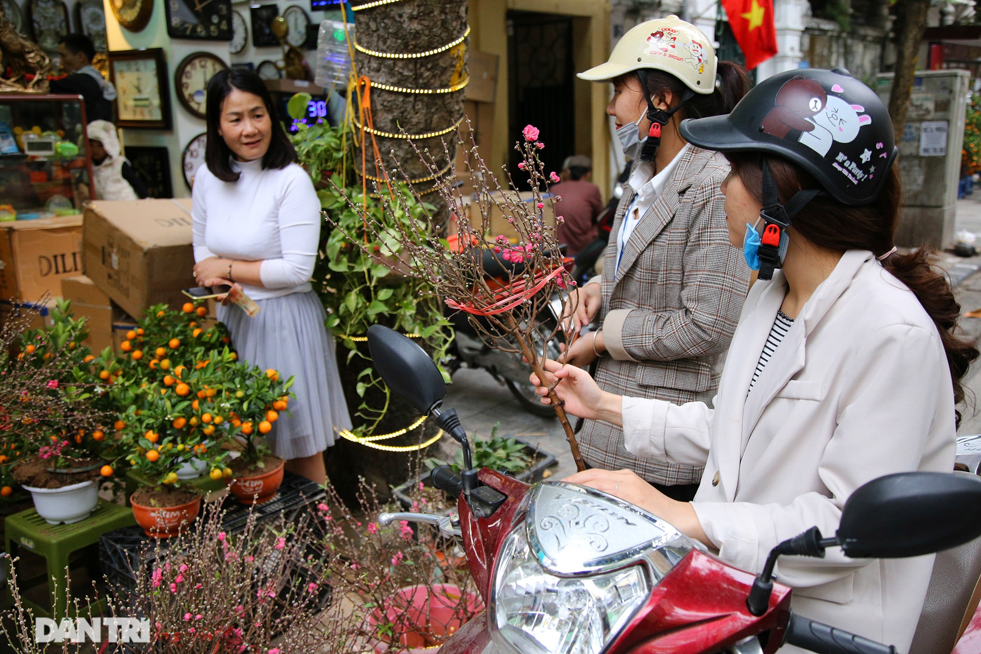 Hang Luoc flower market begins to flourish to welcome people shopping for Tet - 5