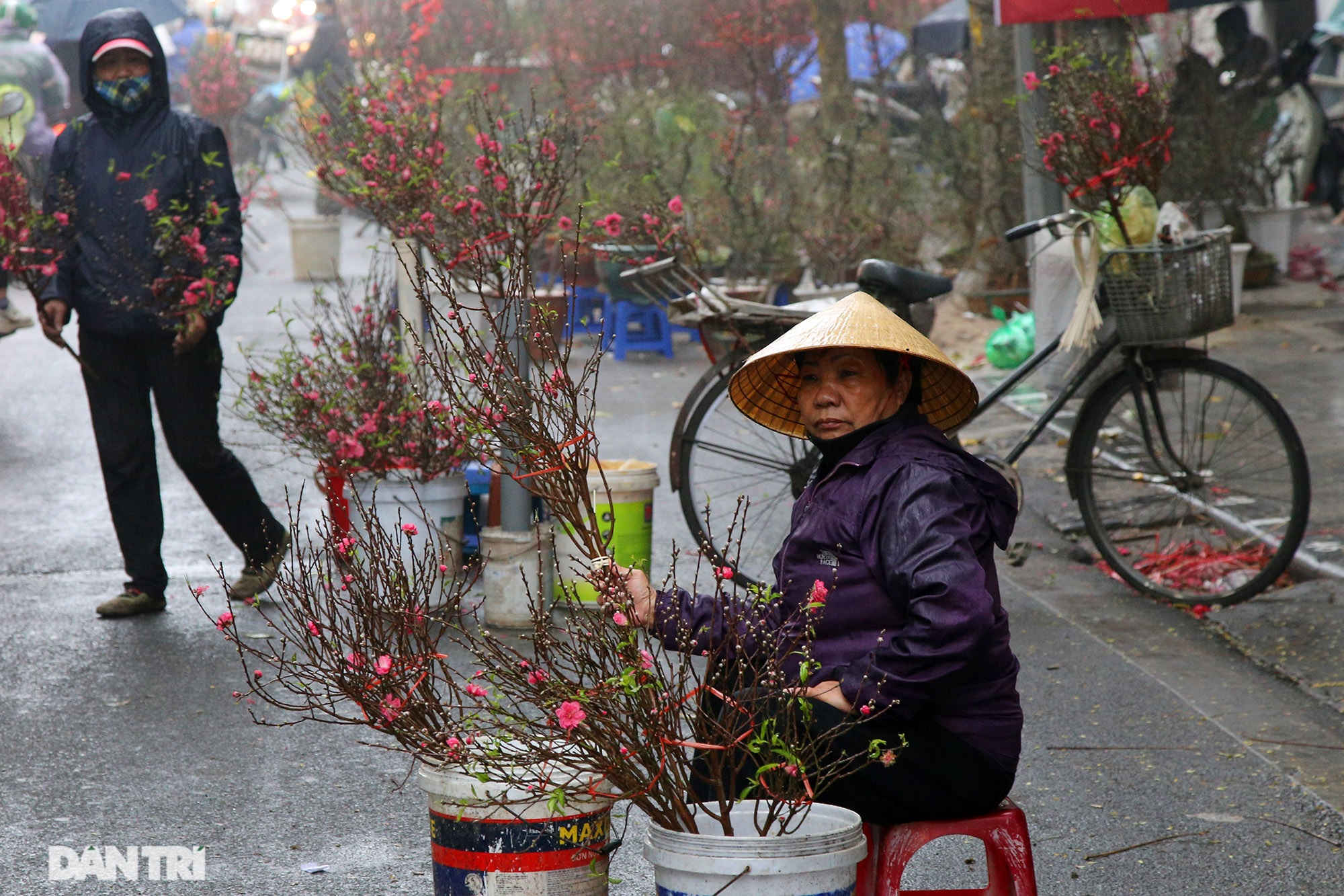 Chợ hoa chợ Tết ở Hà Nội hiu hắt vì dịch Covid-19 - 5 Chợ hoa chợ Tết ở Hà Nội hiu hắt vì dịch Covid-19 - 5