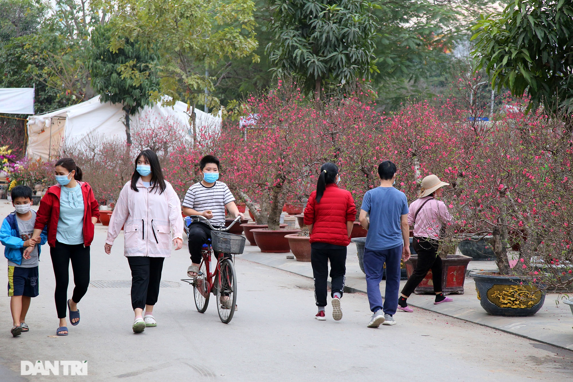 Bắt buộc đeo khẩu trang khi vào chợ sắm Tết - 1 Bắt buộc đeo khẩu trang khi vào chợ sắm Tết - 1