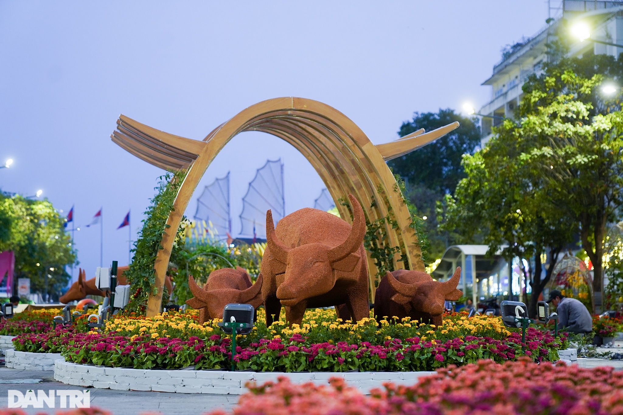 A herd of more than 60 buffaloes appeared on Nguyen Hue flower street to greet Tan Suu spring - 9
