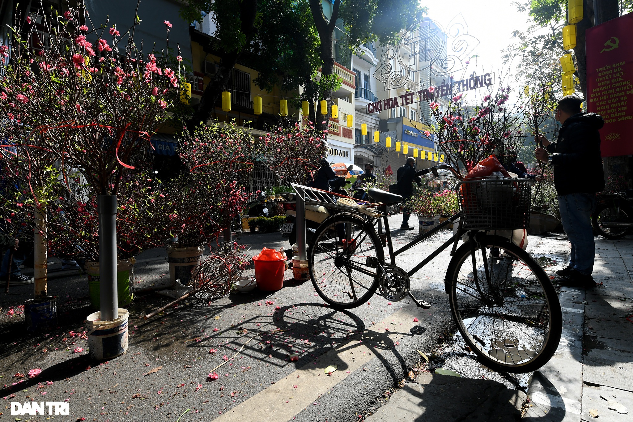 Nắng về rộn ràng sắc hoa khắp phố phường Hà Nội ngày 29 Tết - 4