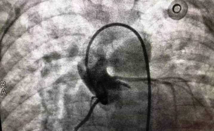 Bác sĩ với hành trình 10 năm chữa lành những trái tim lỗi nhịp - 2