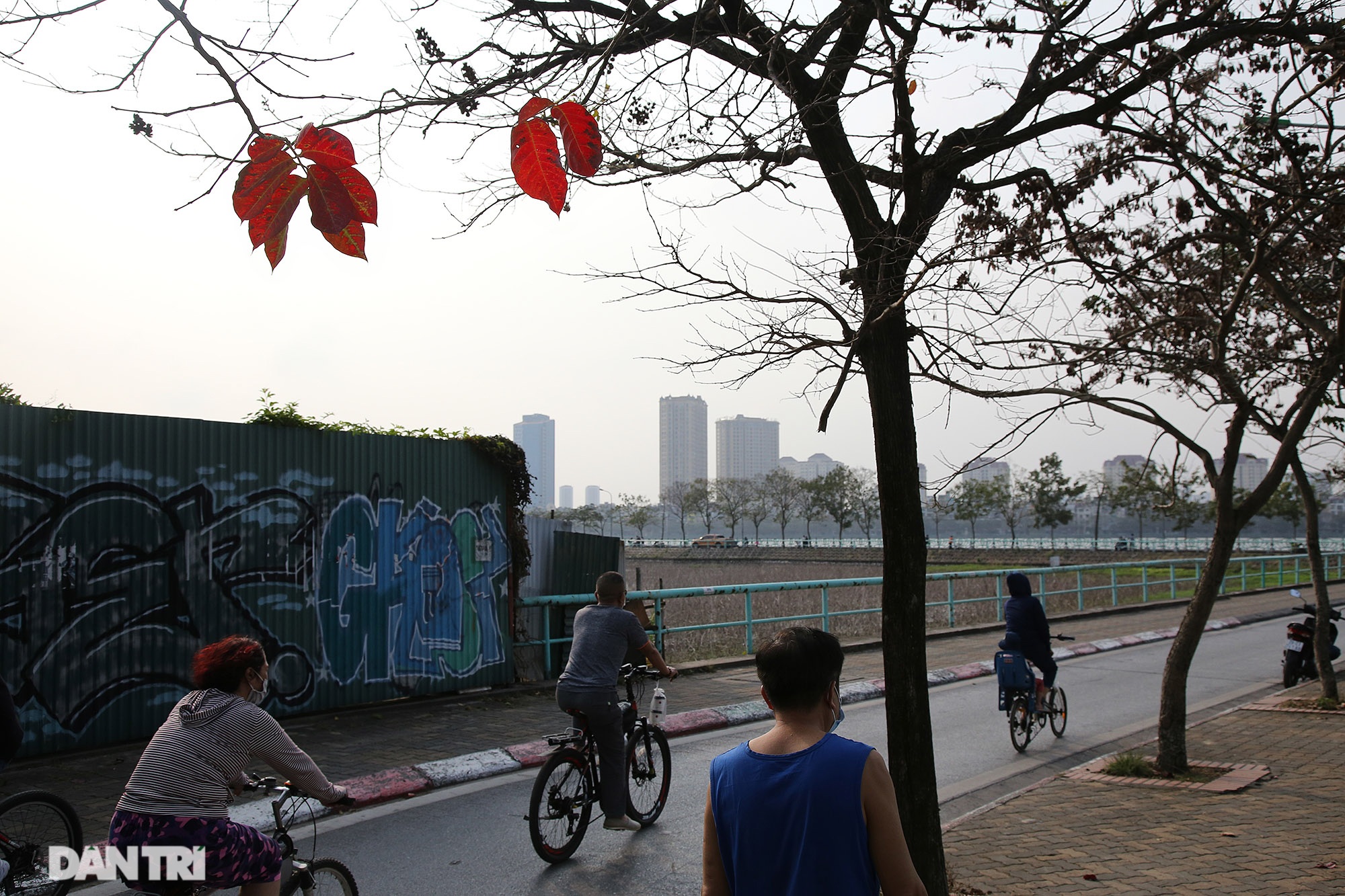 Hà Nội nhuộm vàng rực rỡ mùa cây thay lá - 13