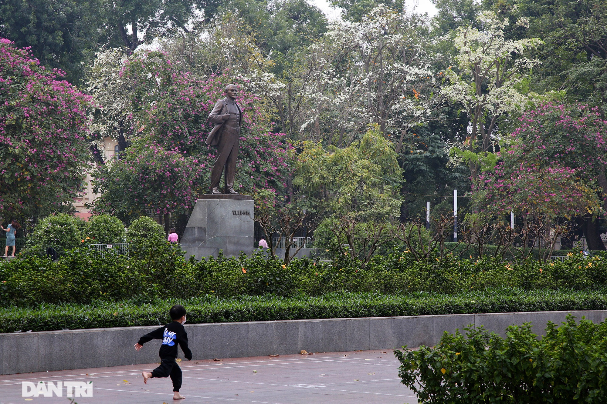 Hanoi is very beautiful in the season of pure white blooming flowers - 12