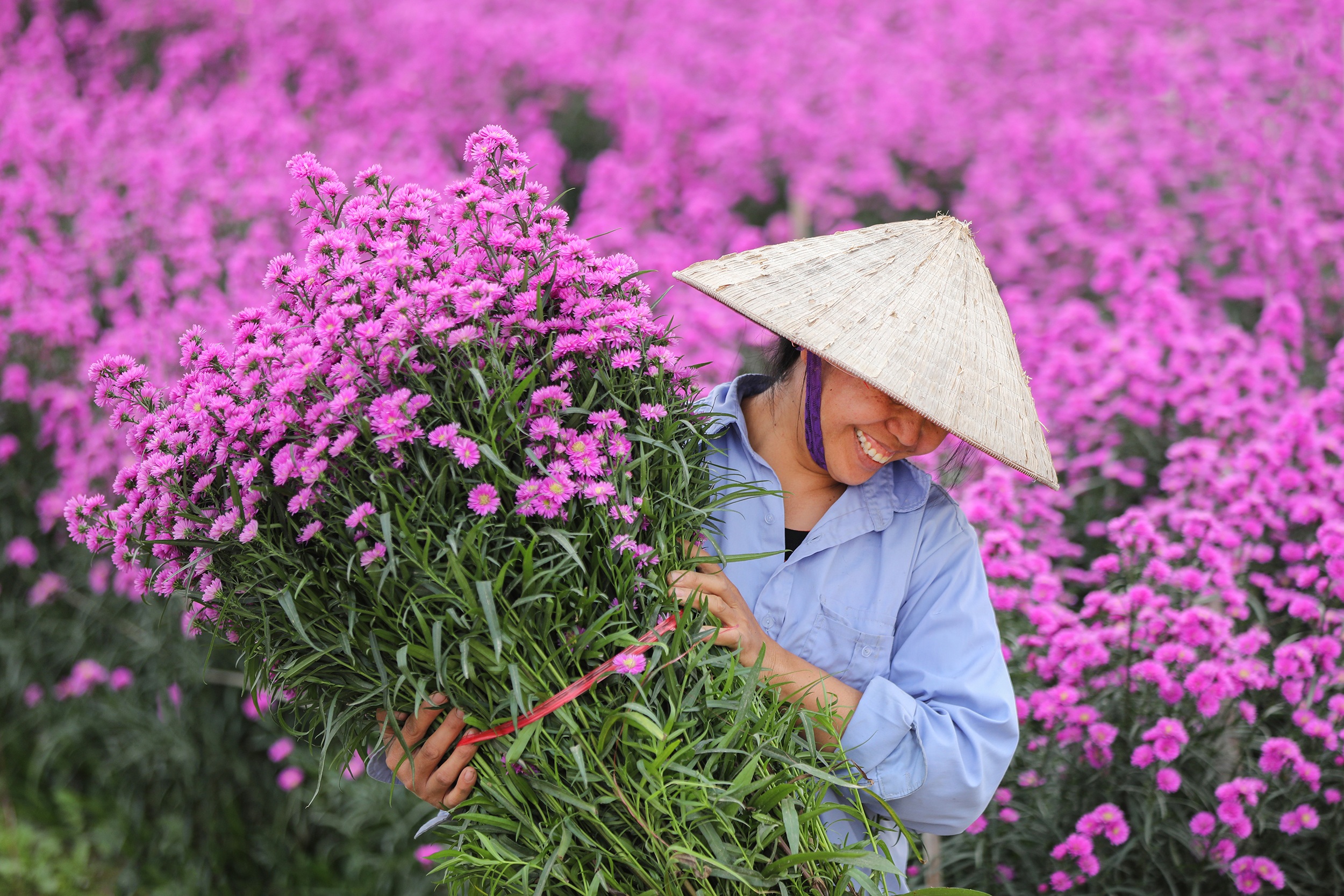 Kết thúc nhận tác phẩm dự thi Xuân tin yêu báo Dân trí - 1 Kết thúc nhận tác phẩm dự thi Xuân tin yêu báo Dân trí - 1