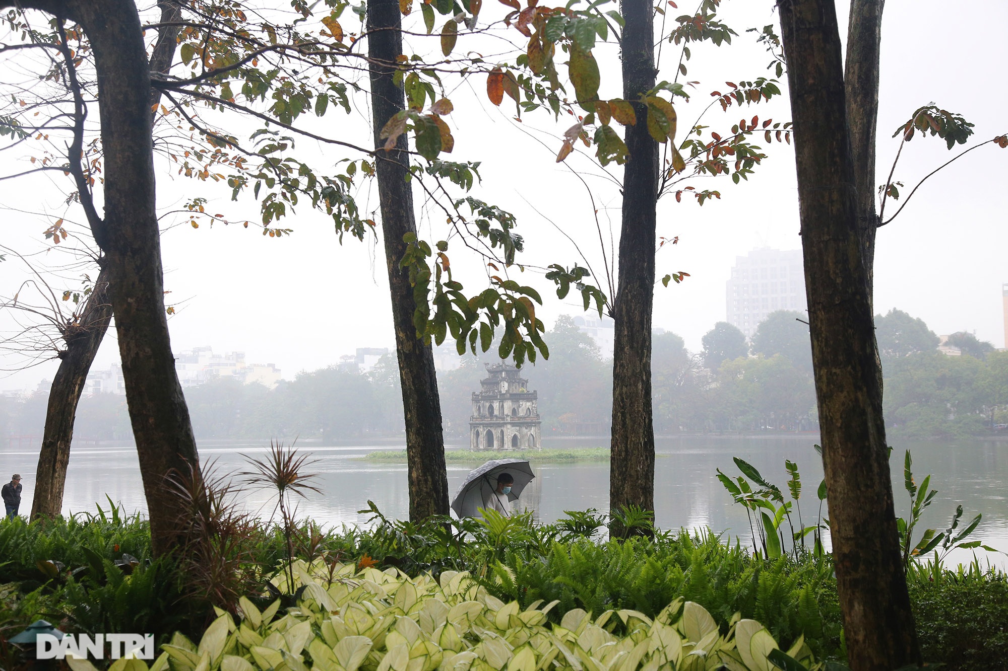 Hồ Gươm đẹp lãng mạn trong sương sớm - 9