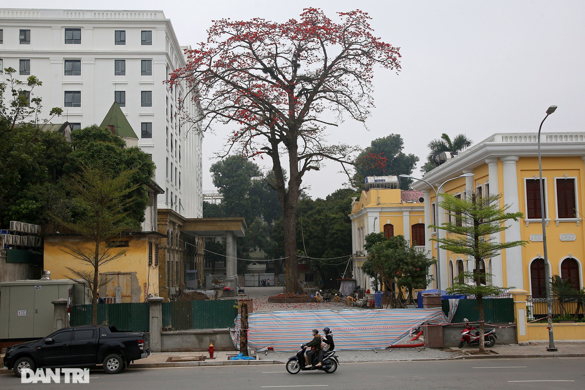 Mùa hoa gạo trong phố - 15