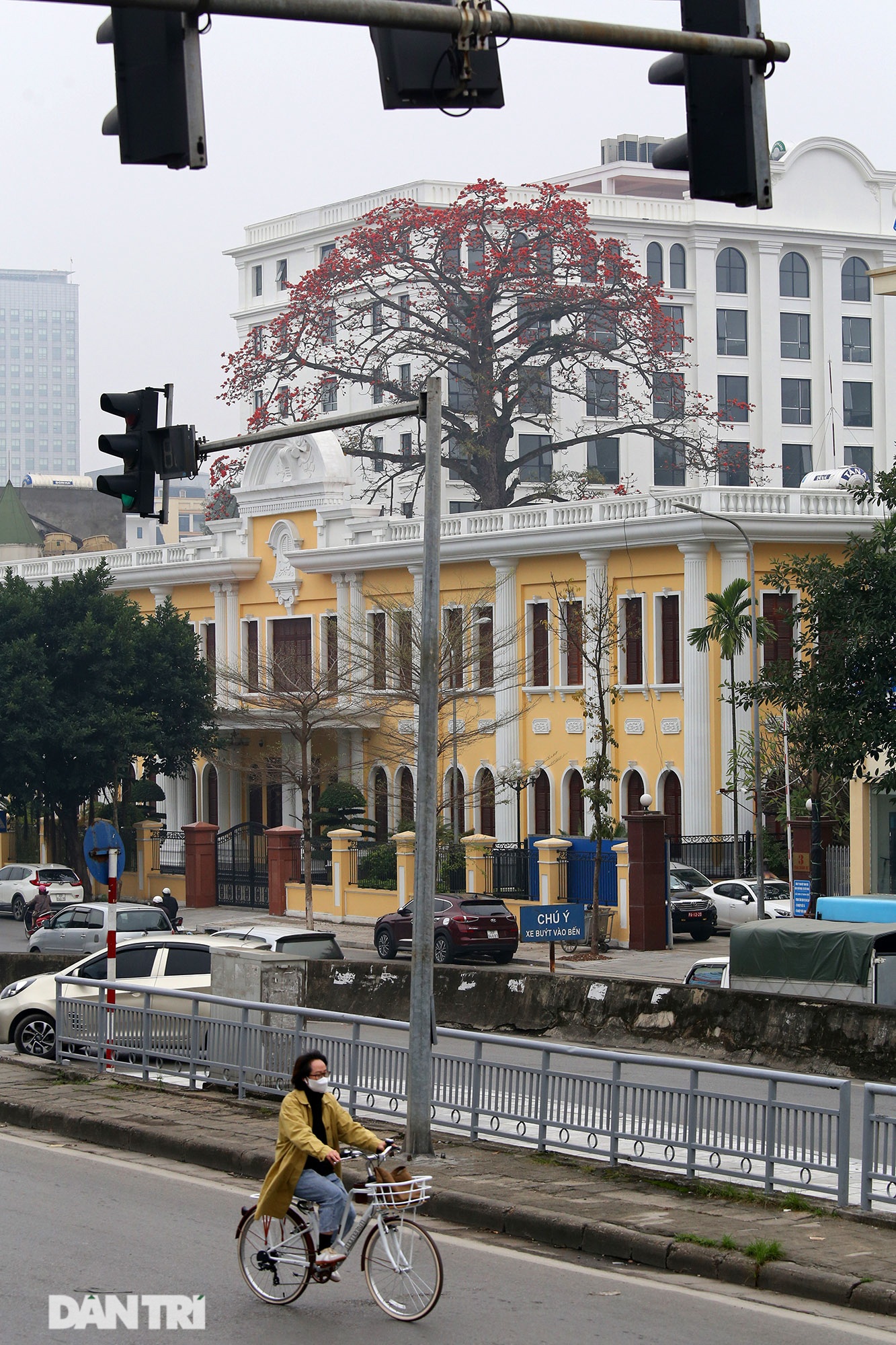 Mùa hoa gạo trong phố - 3