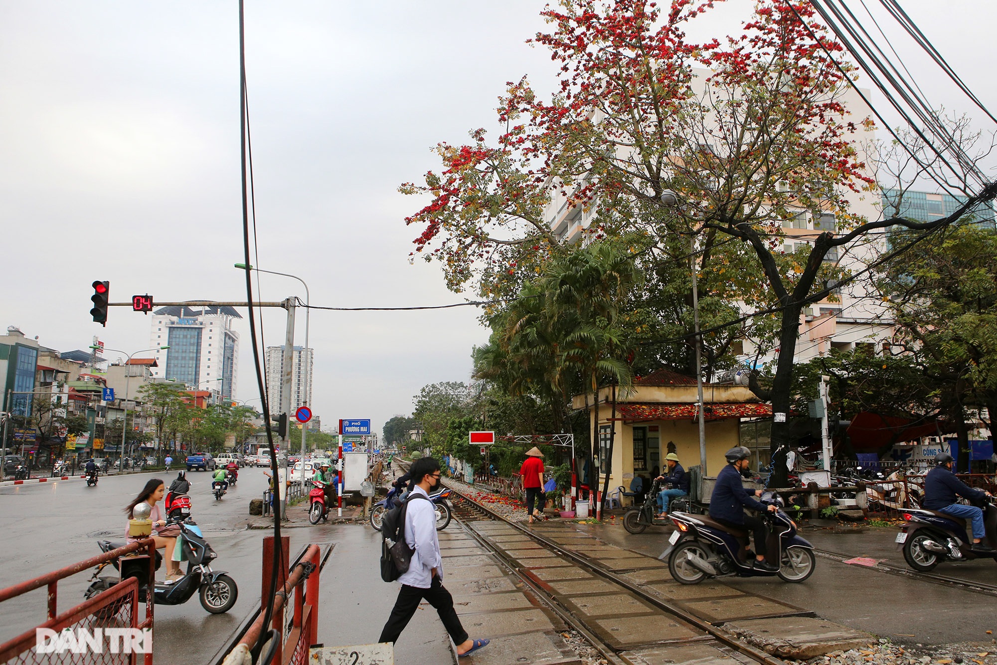 Mùa hoa gạo trong phố - 5