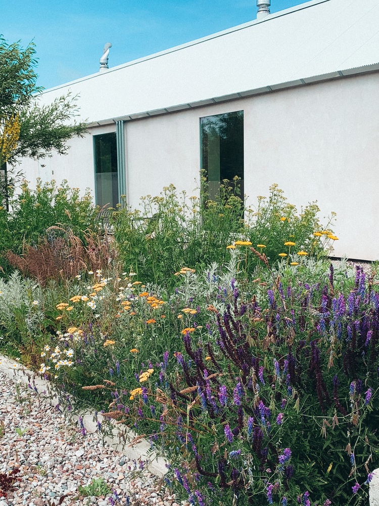 View - Ngôi nhà đẹp lạ như cồn muối, "ôm trọn" cả thiên nhiên | Báo Dân trí