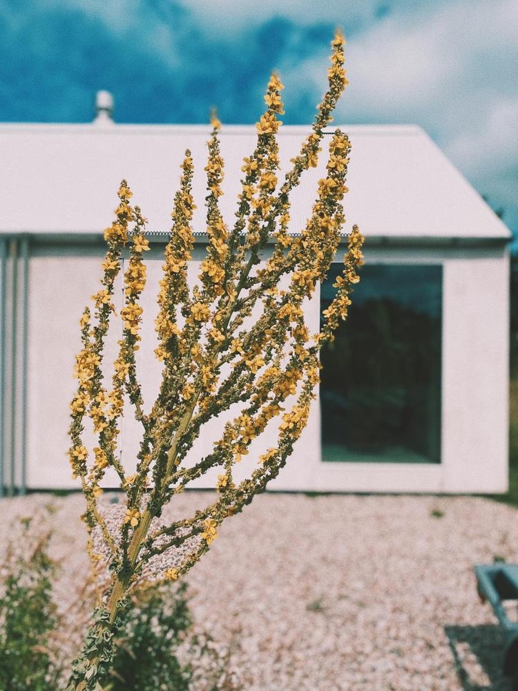 View - Ngôi nhà đẹp lạ như cồn muối, "ôm trọn" cả thiên nhiên | Báo Dân trí