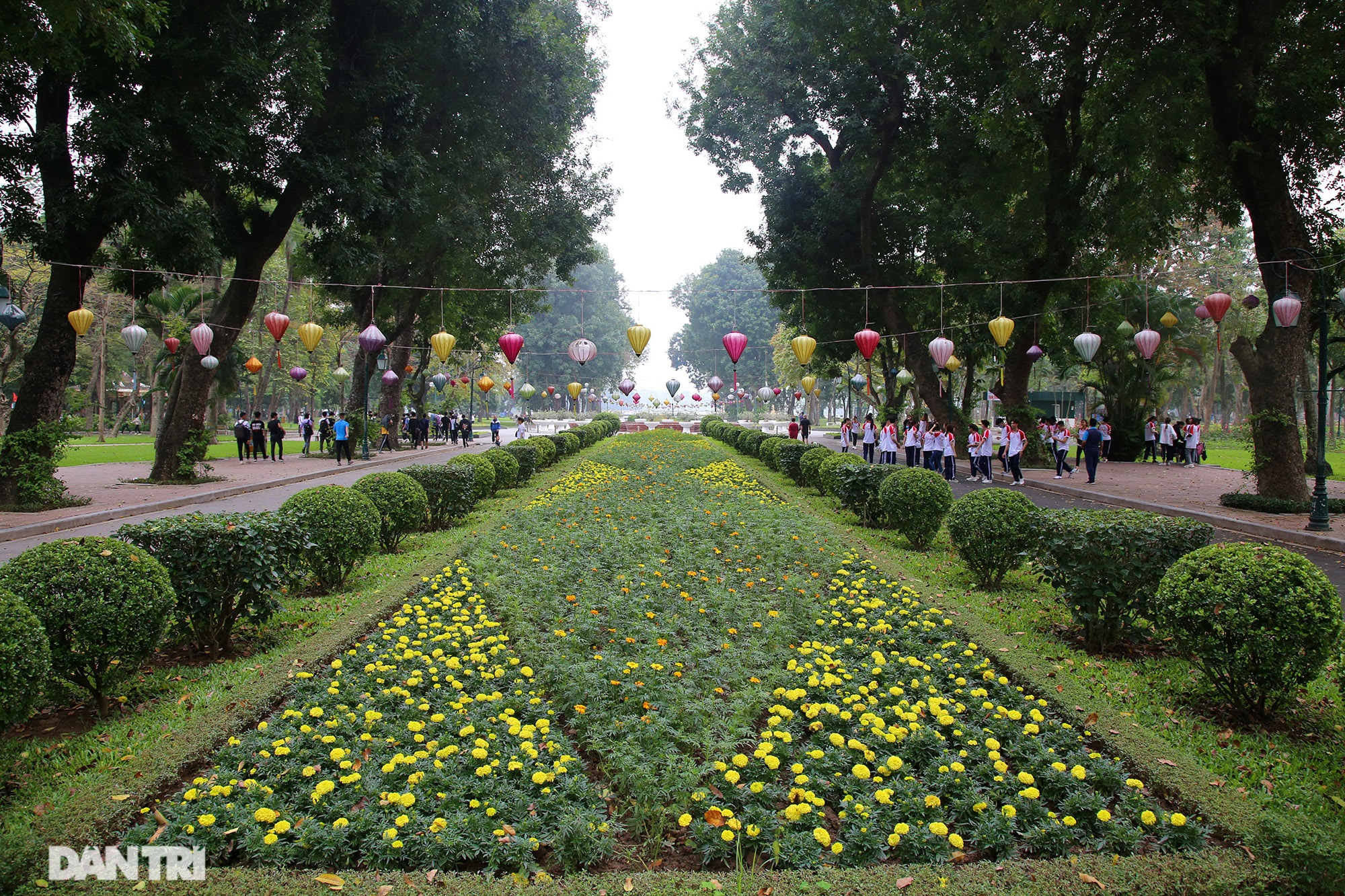 Little-known facts about the largest park in Hanoi about 60 years old - 2