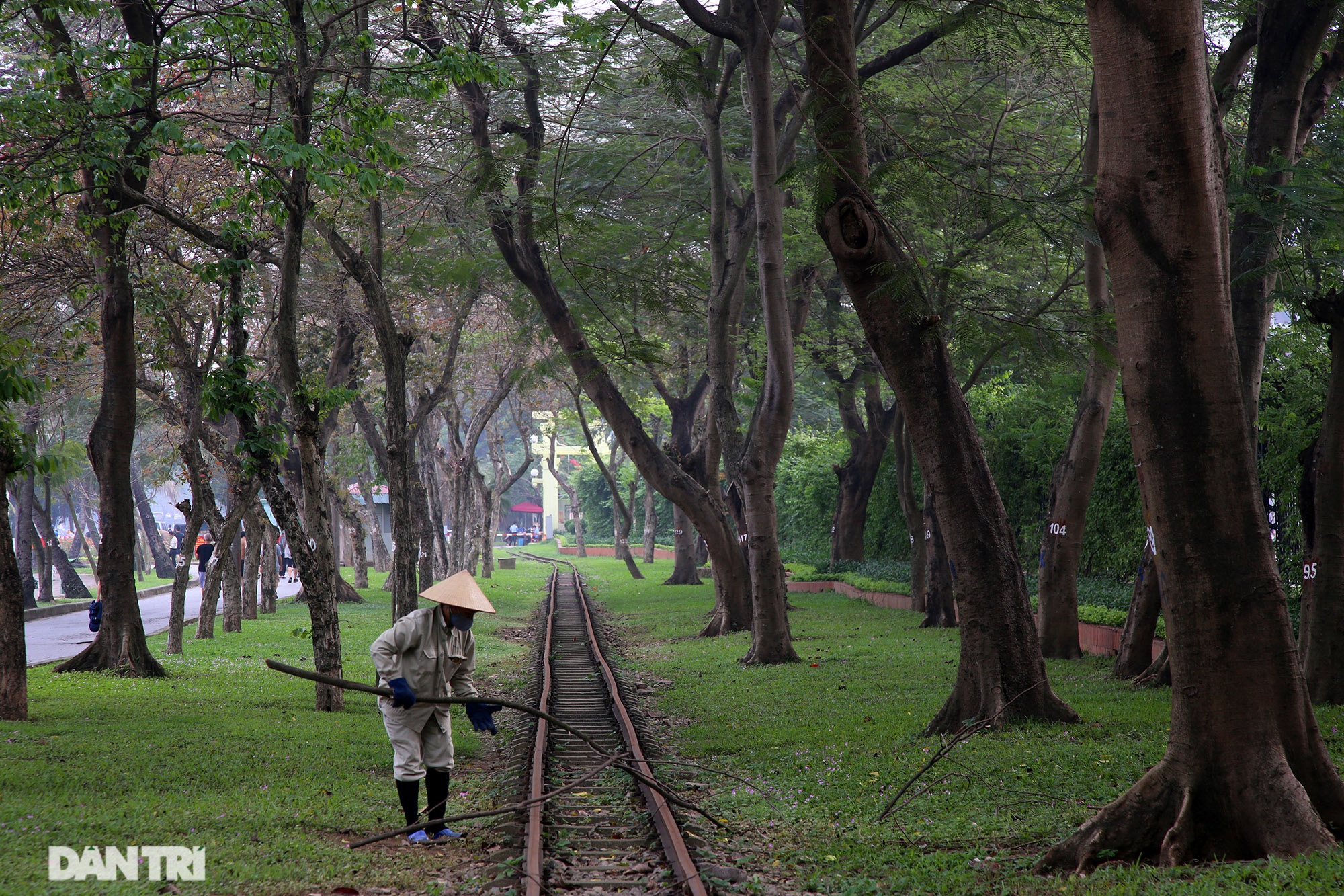 Little-known things about the largest park in Hanoi are about to turn 60 years old - 9