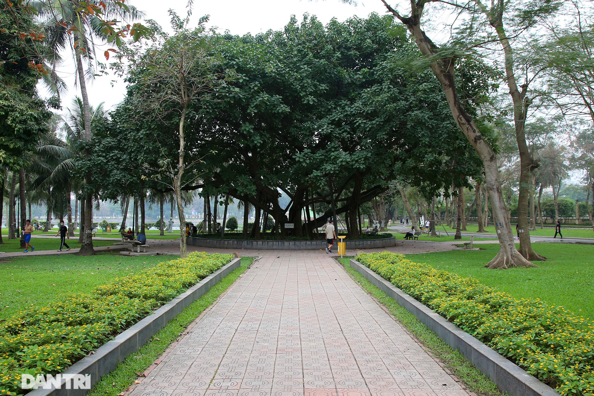 Little-known things about the largest park in Hanoi are about to turn 60 years old - 11