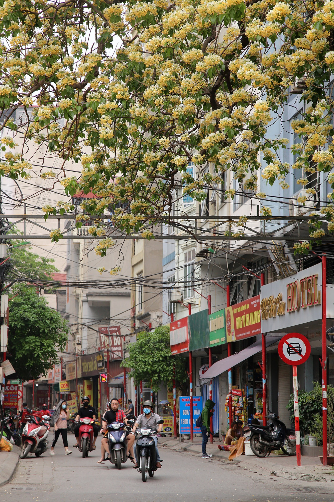 Cây hoa bún 300 tuổi ở Hà Nội thu hút người dân đổ về thưởng lãm - 10