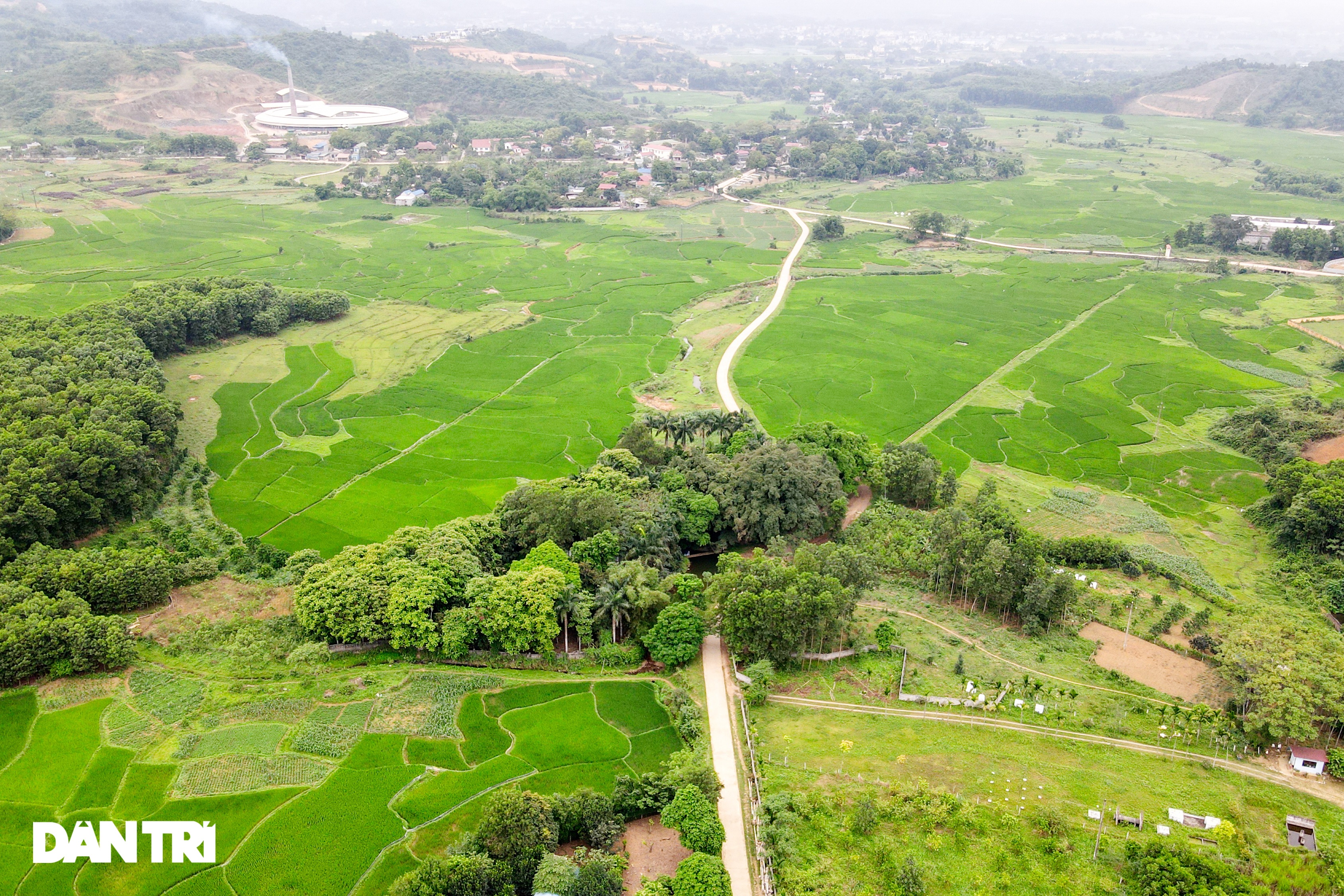 See firsthand that the village ghost tree existed for more than 8 centuries in Hoa Binh - 1