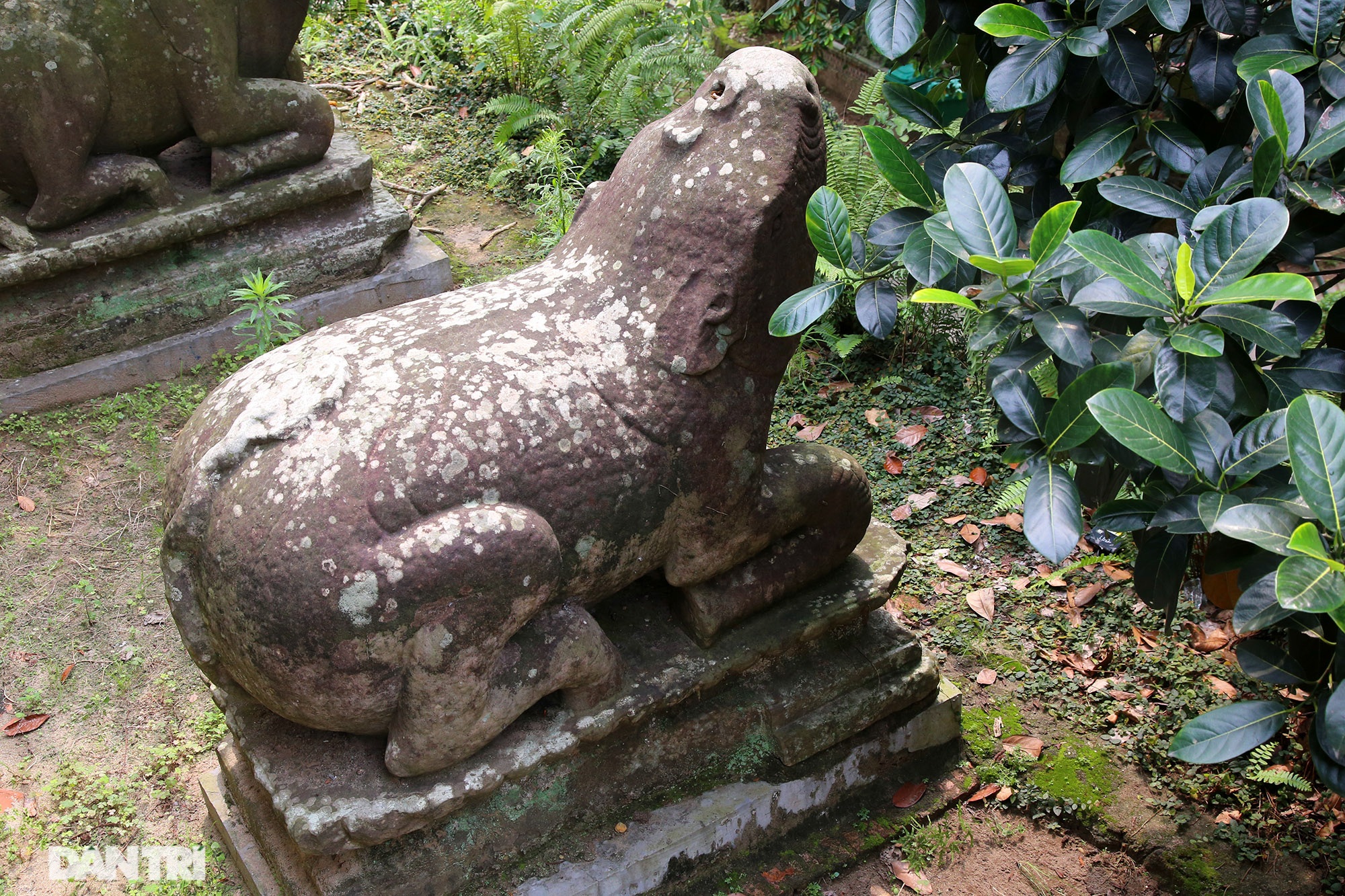 Kỳ lạ 10 linh thú đá nghìn năm tuổi canh gác chùa Phật Tích - 11