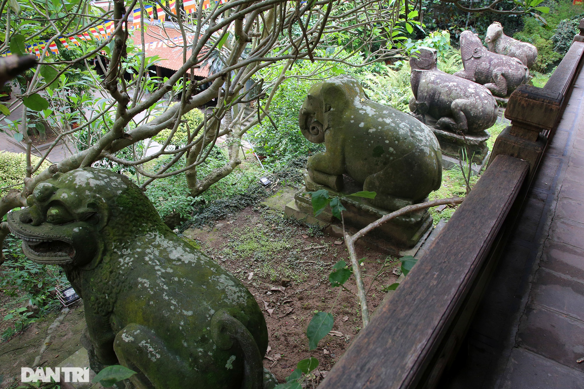 Strangely 10 thousand year old stone summoned beasts guard Buddha Tich Pagoda - 3