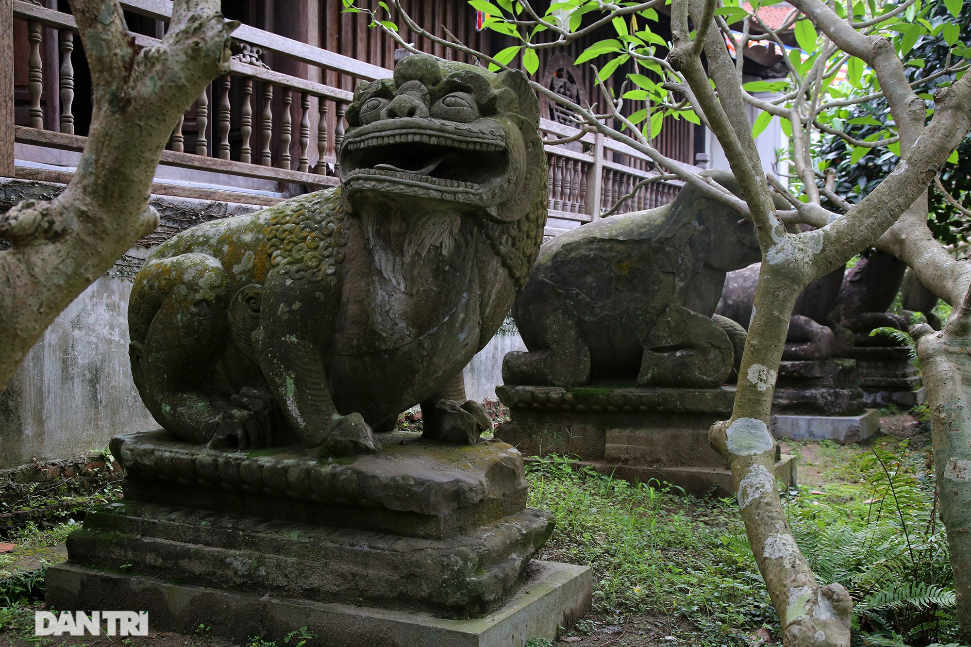 Strangely 10 thousand year old stone summoned beasts guard Buddha Tich Pagoda - 4