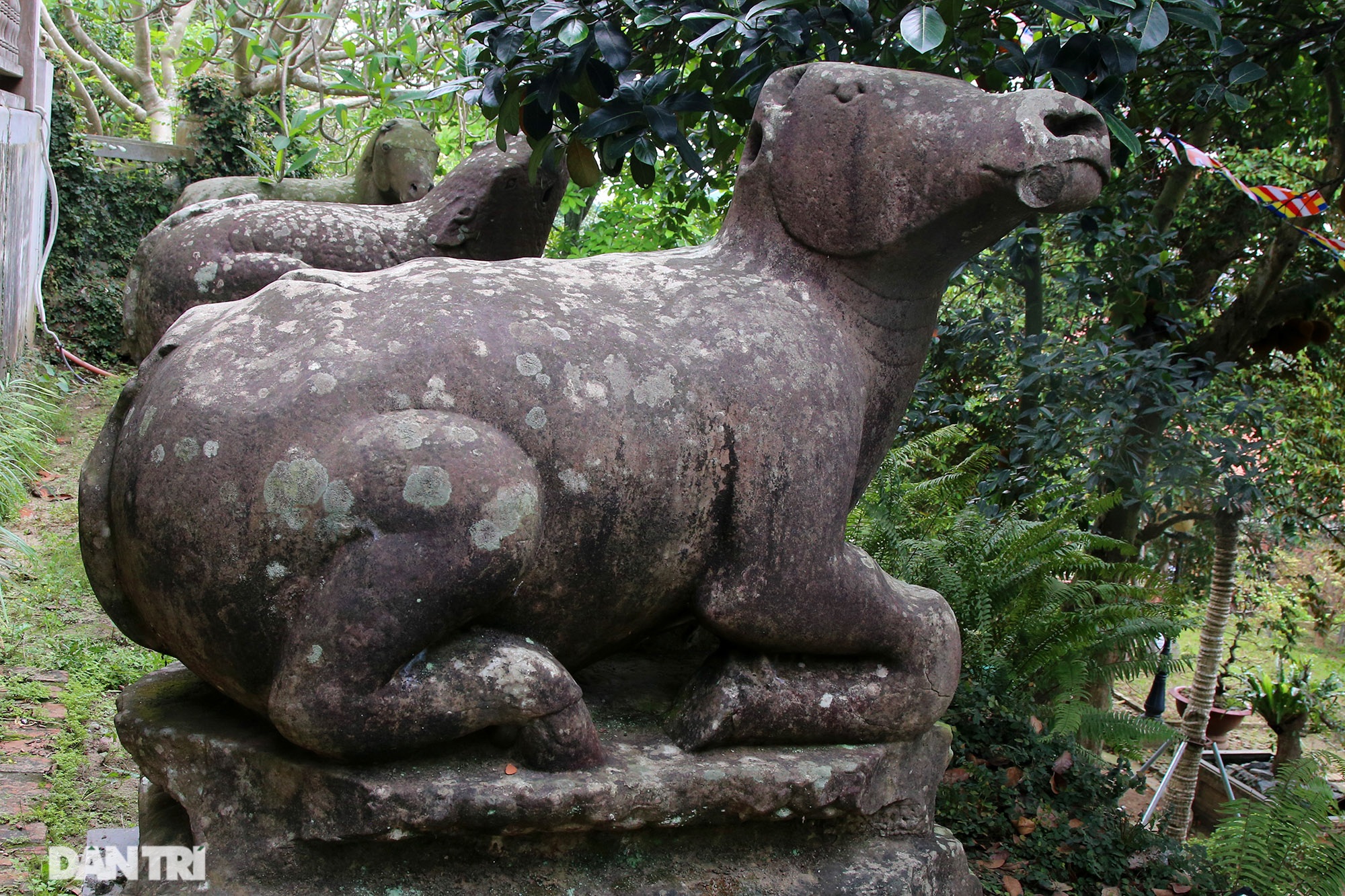 Strangely 10 thousand year old stone summoned beasts guard Buddha Tich Pagoda - 7