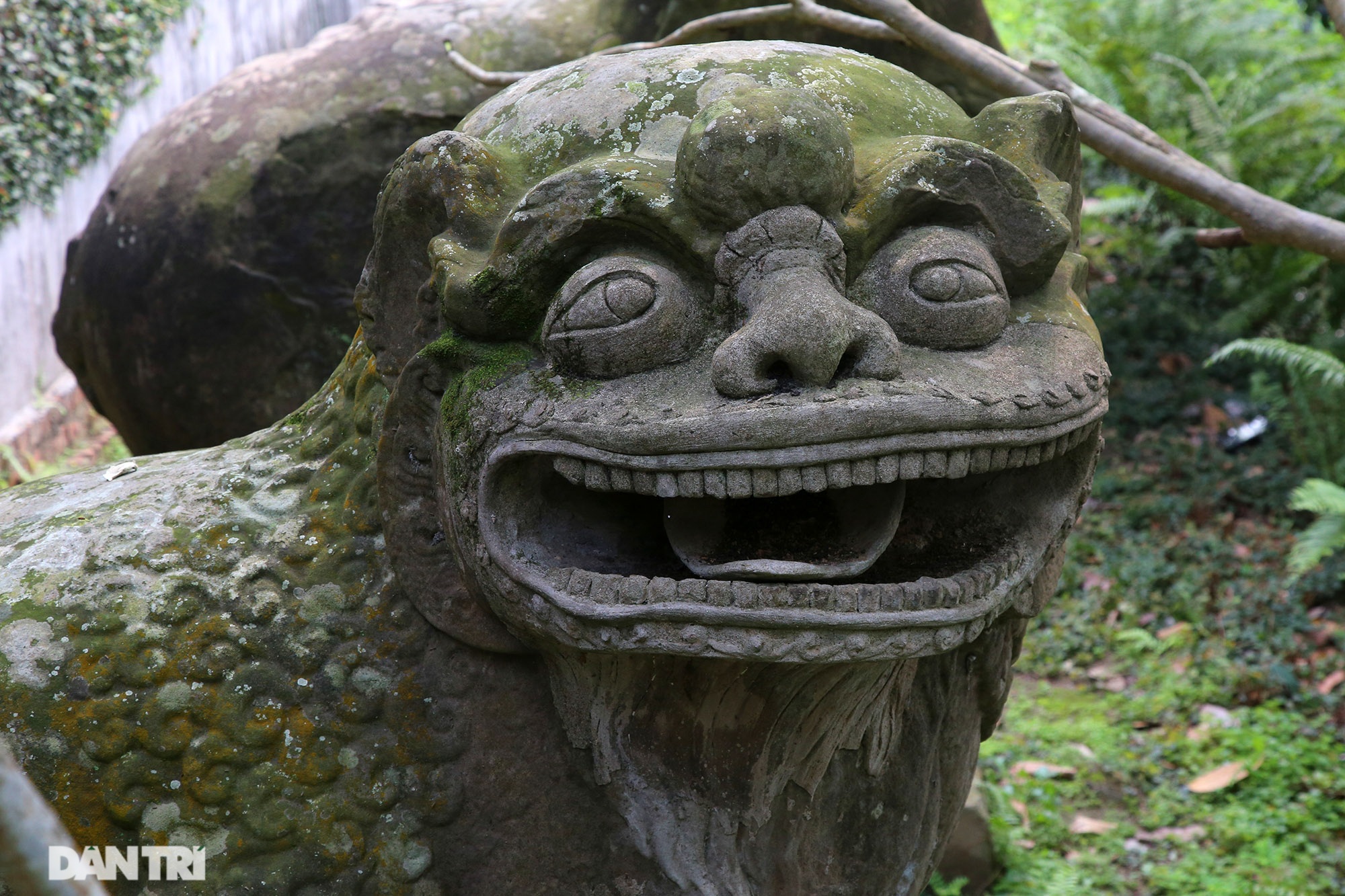 Kỳ lạ 10 linh thú đá nghìn năm tuổi canh gác chùa Phật Tích - 10