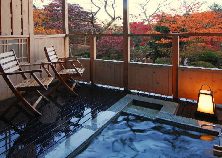 View - Tắm nước khoáng nóng từ núi Hakone tại ryokan cổ 130 tuổi | Báo Dân trí